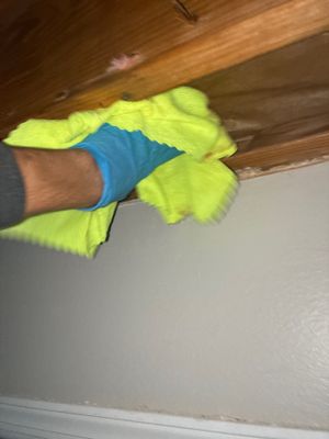 Black Mold Removal — Pensacola, FL