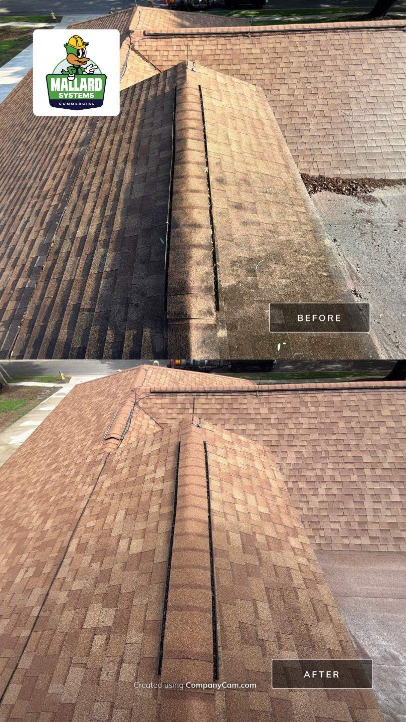 Shingle Roof Cleaning & Roof Debris Removal  by Mallard Systems