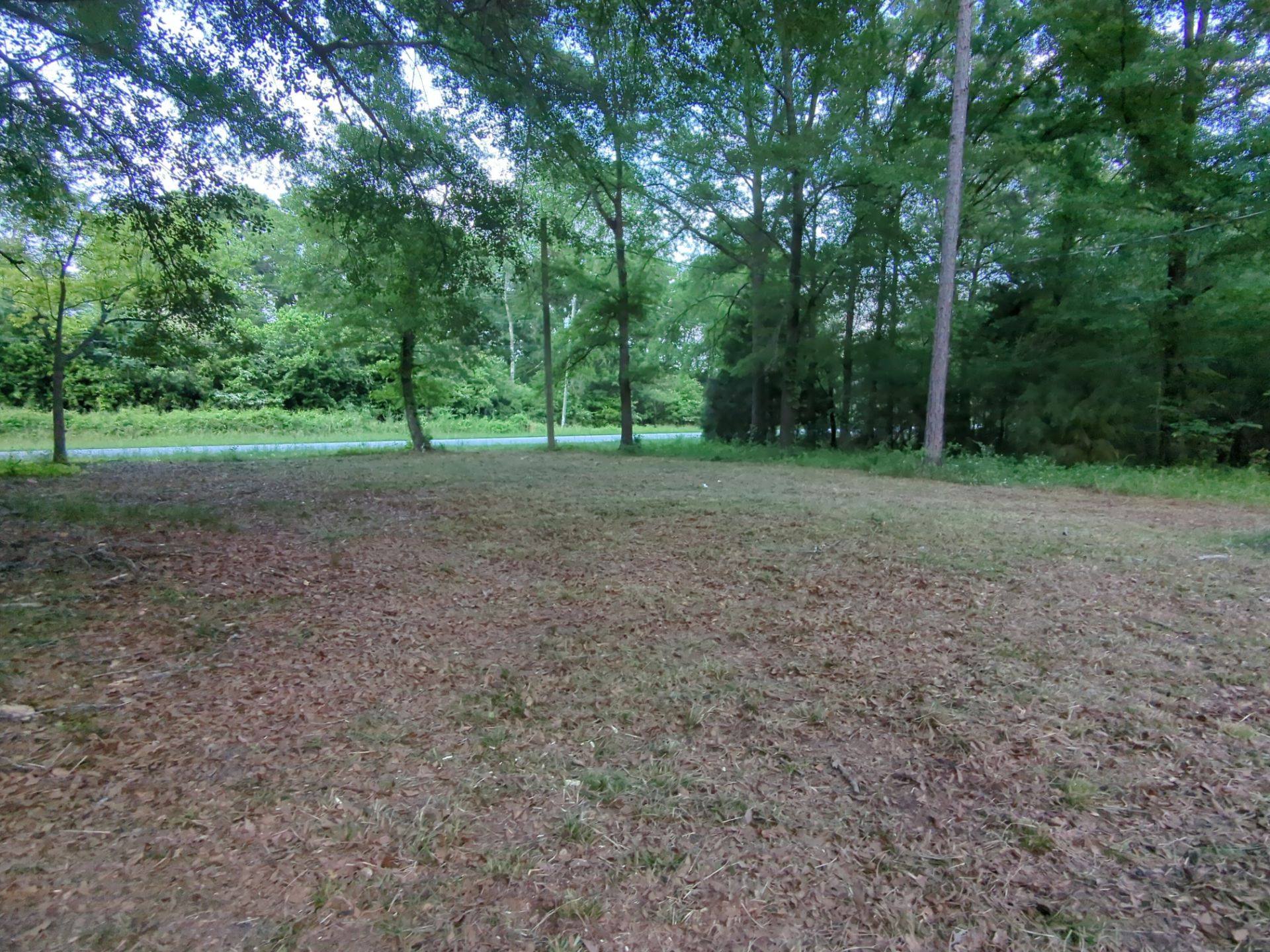 Exterior Clearing - tree trimming - grass cut by Swift Signings and Services LLC
