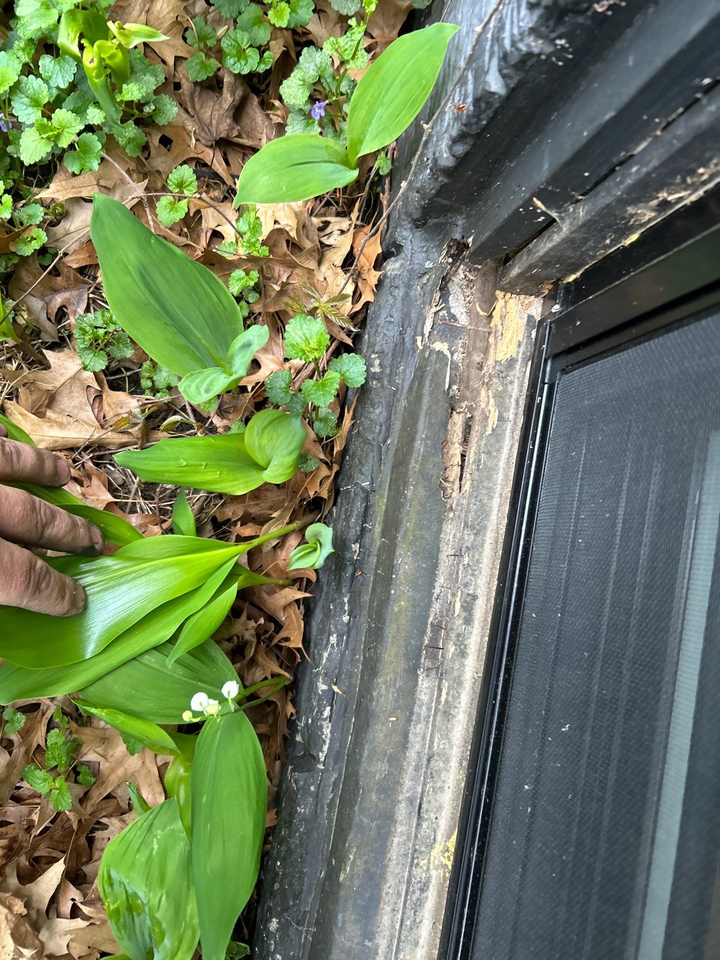 Window installation  by United Windows and Siding LLC