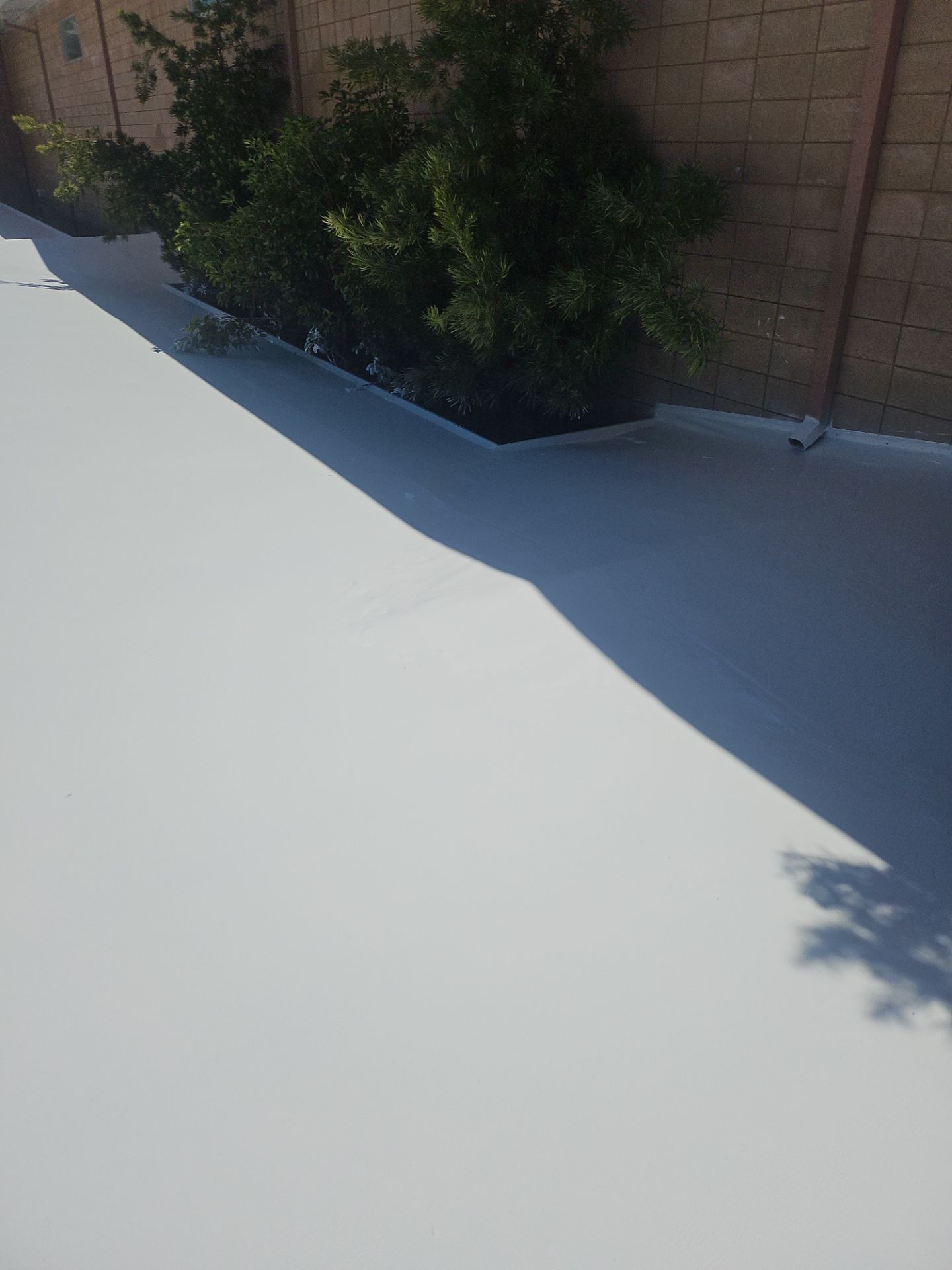 Single-ply restoration system using Benchmark/PUMA XL coatings over TPO single-ply roofing by Straight Edge Roofing Inc