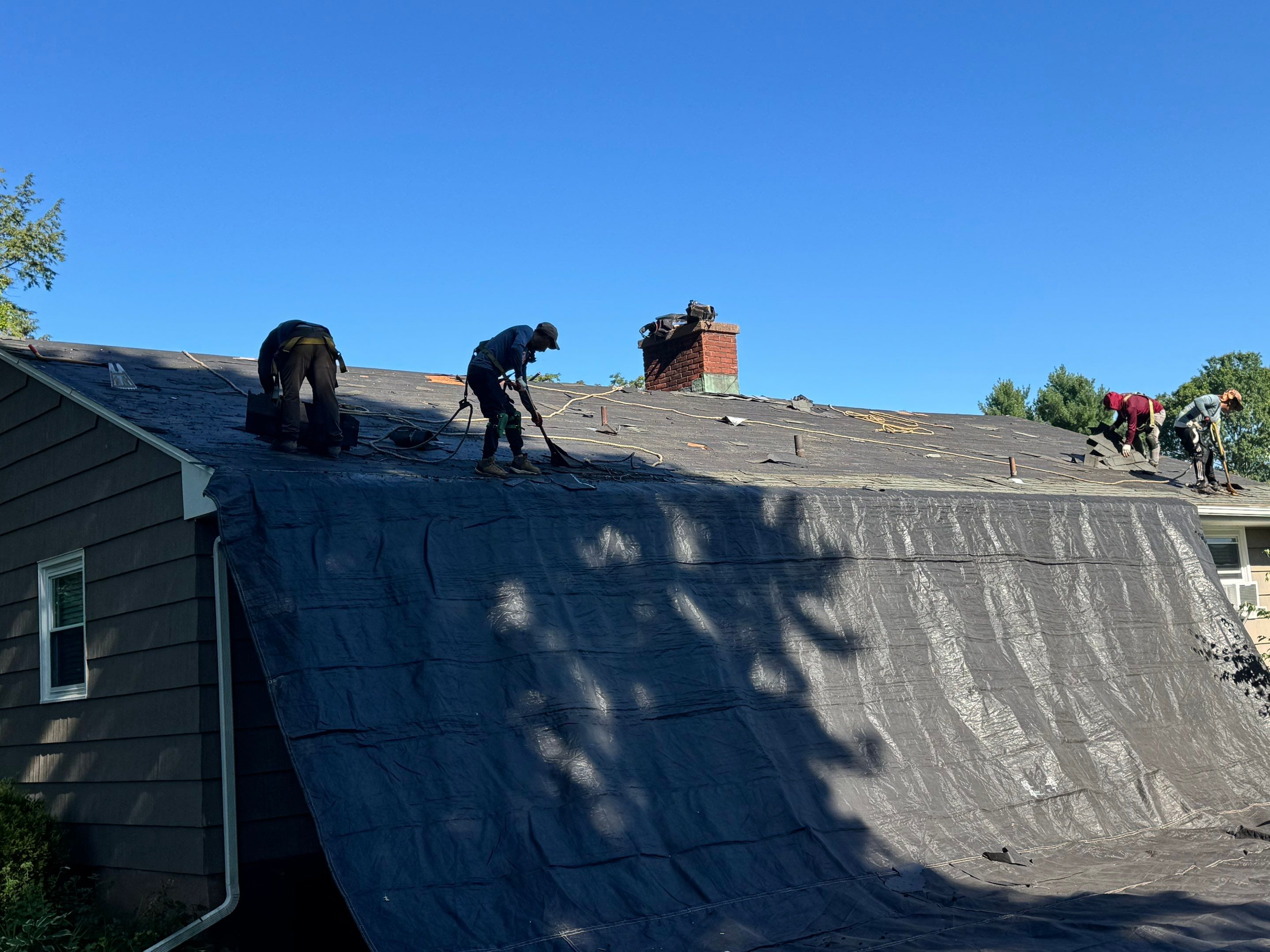 Asphalt shingles in Hamden by DiGiorgi! by DiGiorgi Roofing and Siding Inc