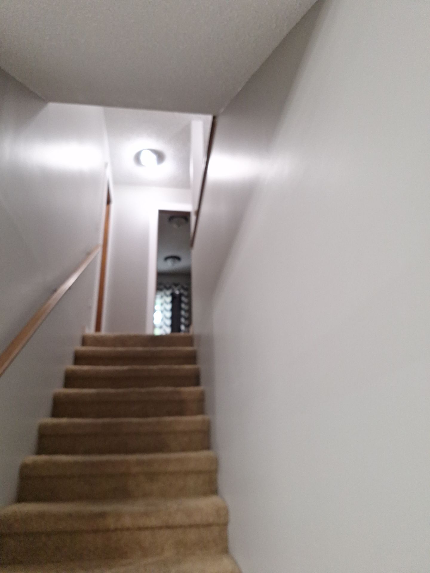 Interior Transformation with a Fresh New Look by Gordon Painting