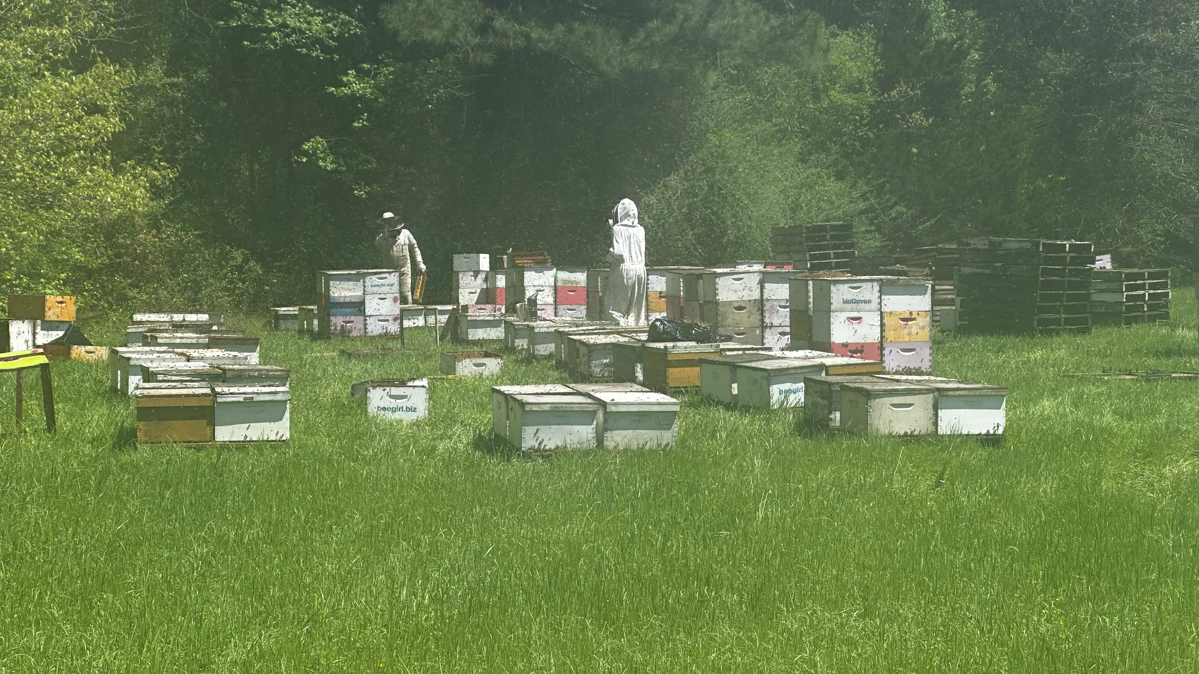 Traylor's Hay Meadow Apiary by Rockwall Honey Bee Company