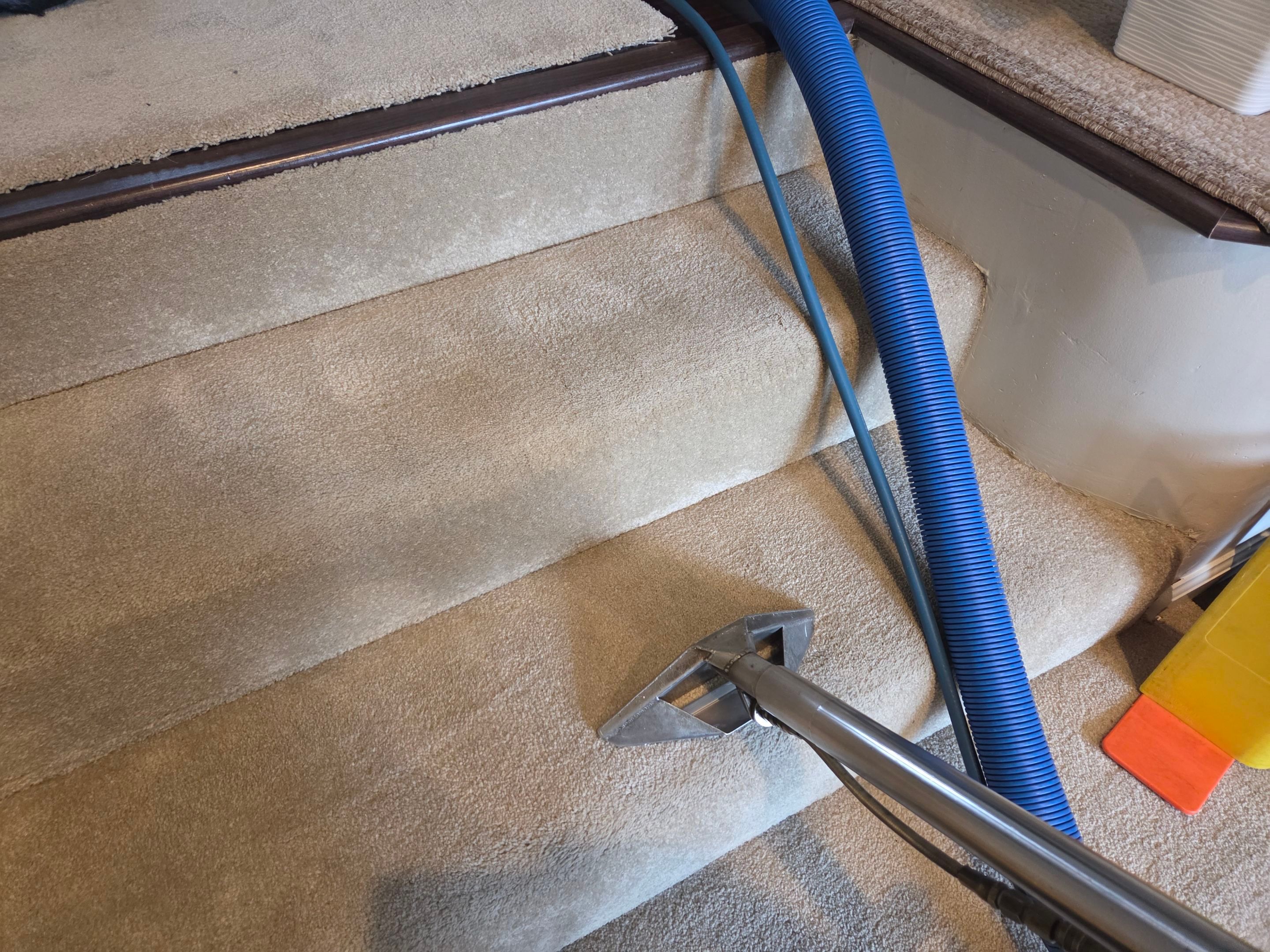 Condo Carpet Cleaning in Fair Oaks by Ardent Carpet Restore LLC