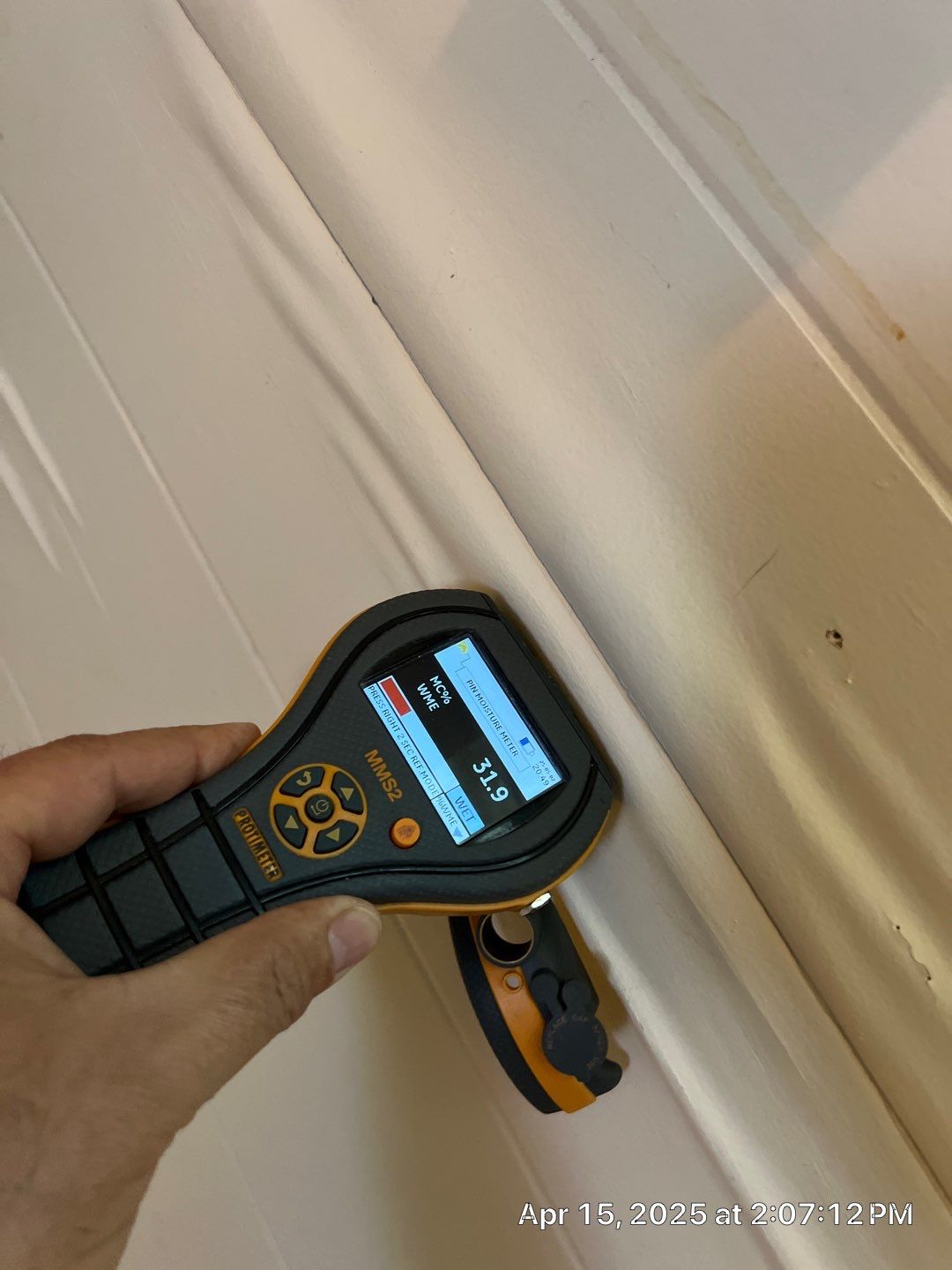 Mold Remediation Bradenton by Ampm Restoration Services