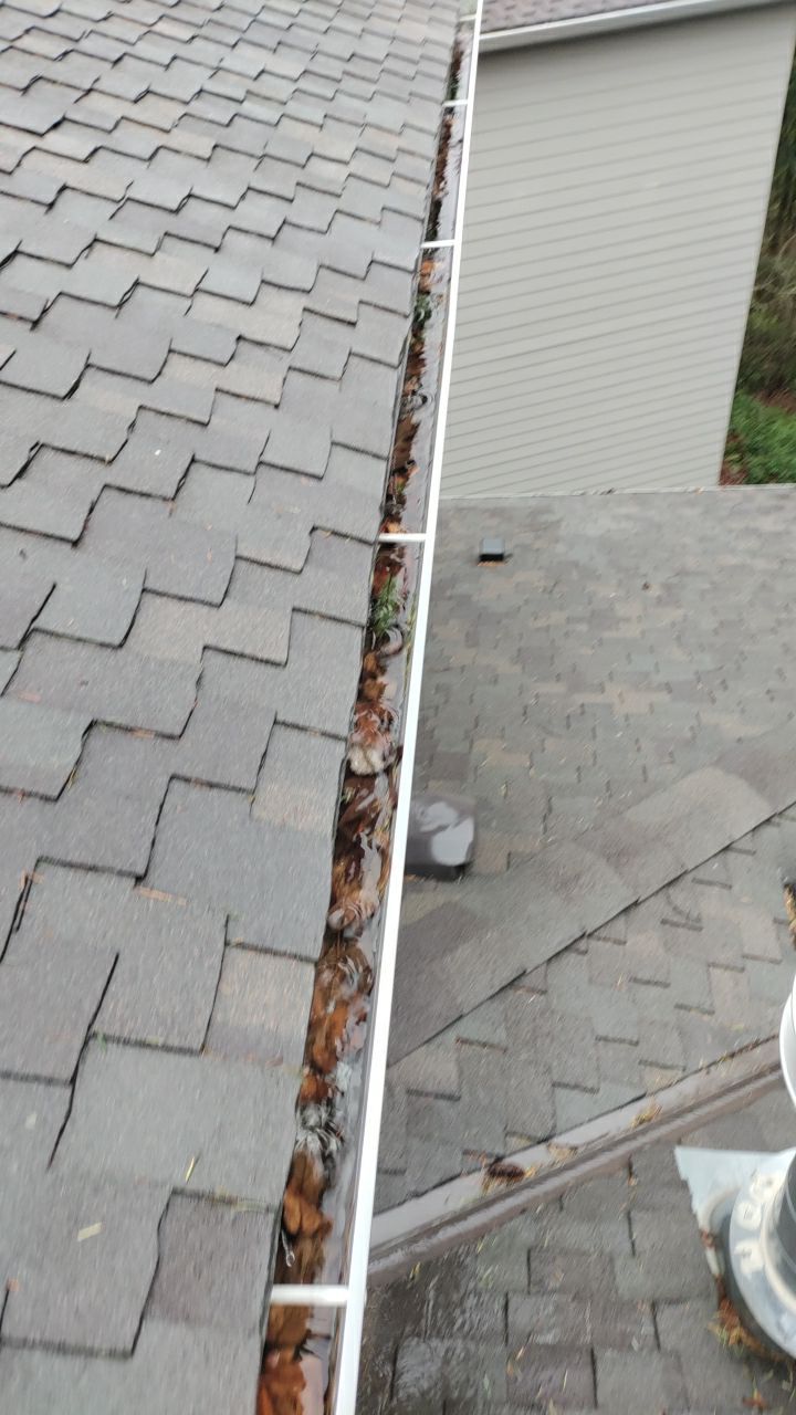 Gutter Cleaning by Paul Schopp