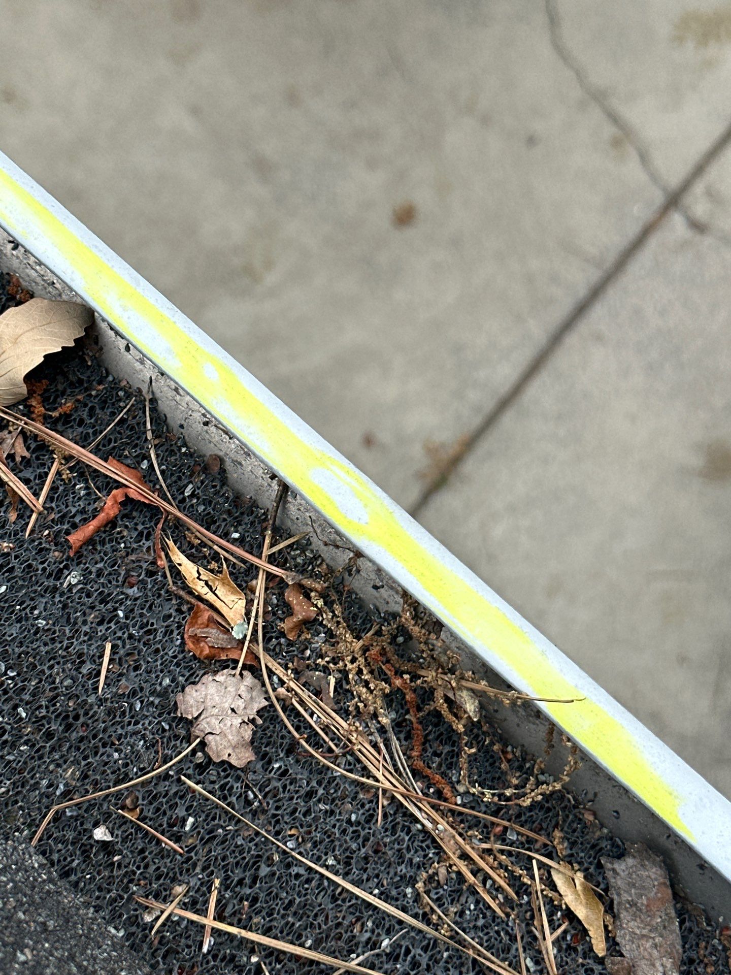 Cowan Dr Cartersville Gutter System & Skylights Replacement  by Dom Roofing & Restoration