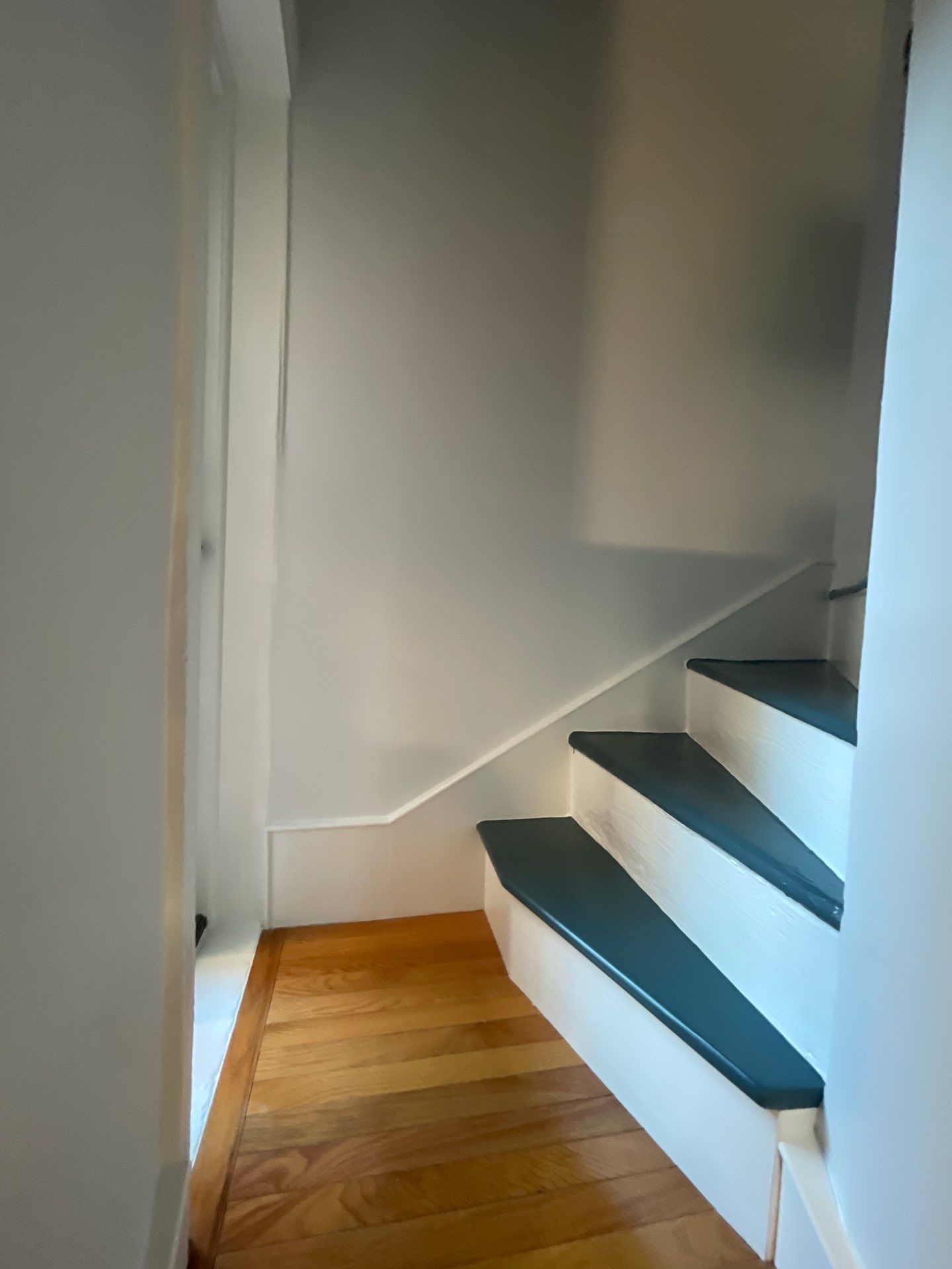 Interior and Entryway Transformation in Rittenhouse by Groovy Hues