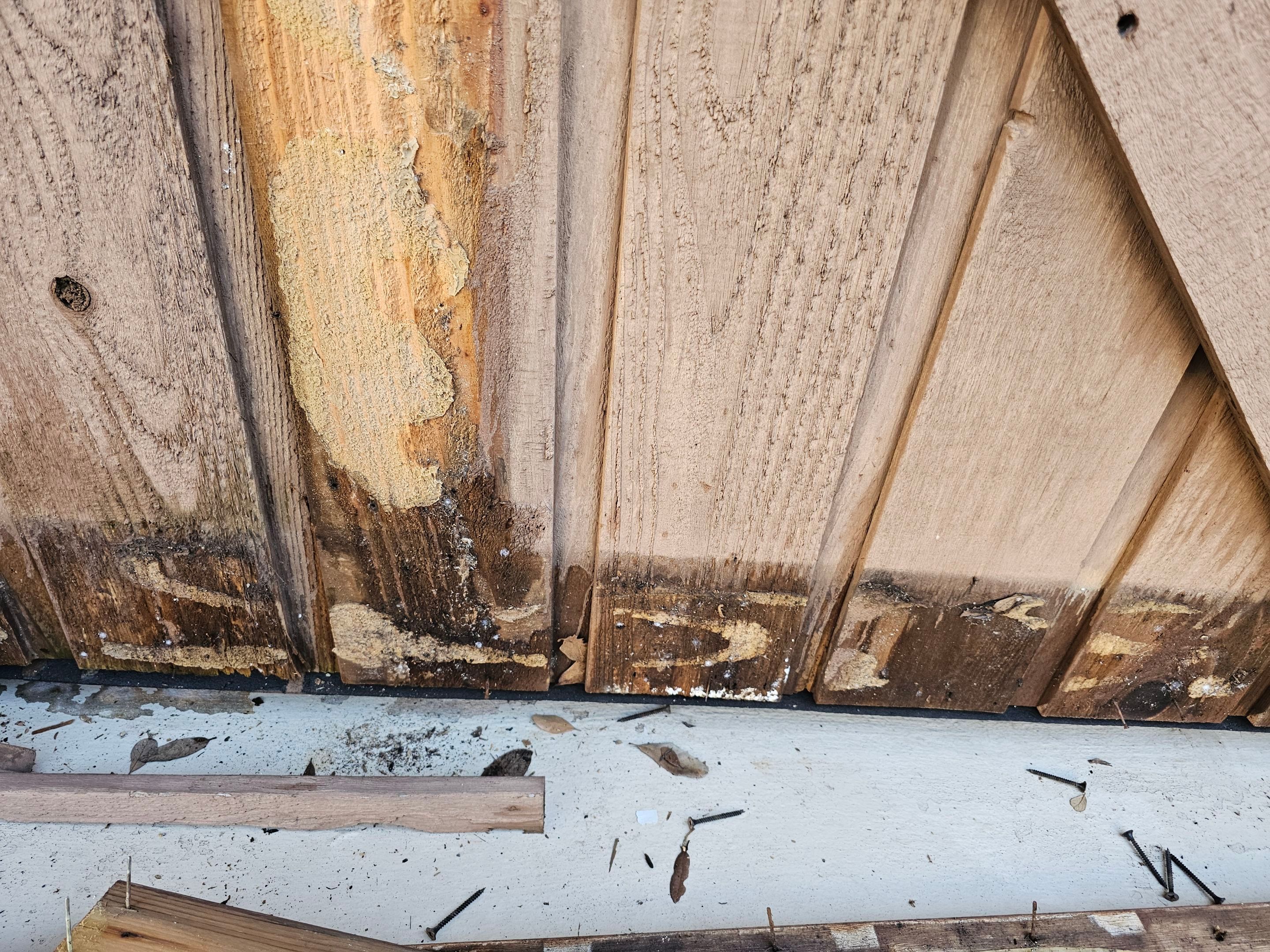 Exterior & interior paint, Garage door repairs, roof replacement & leak repairs by EL-GC LLC 