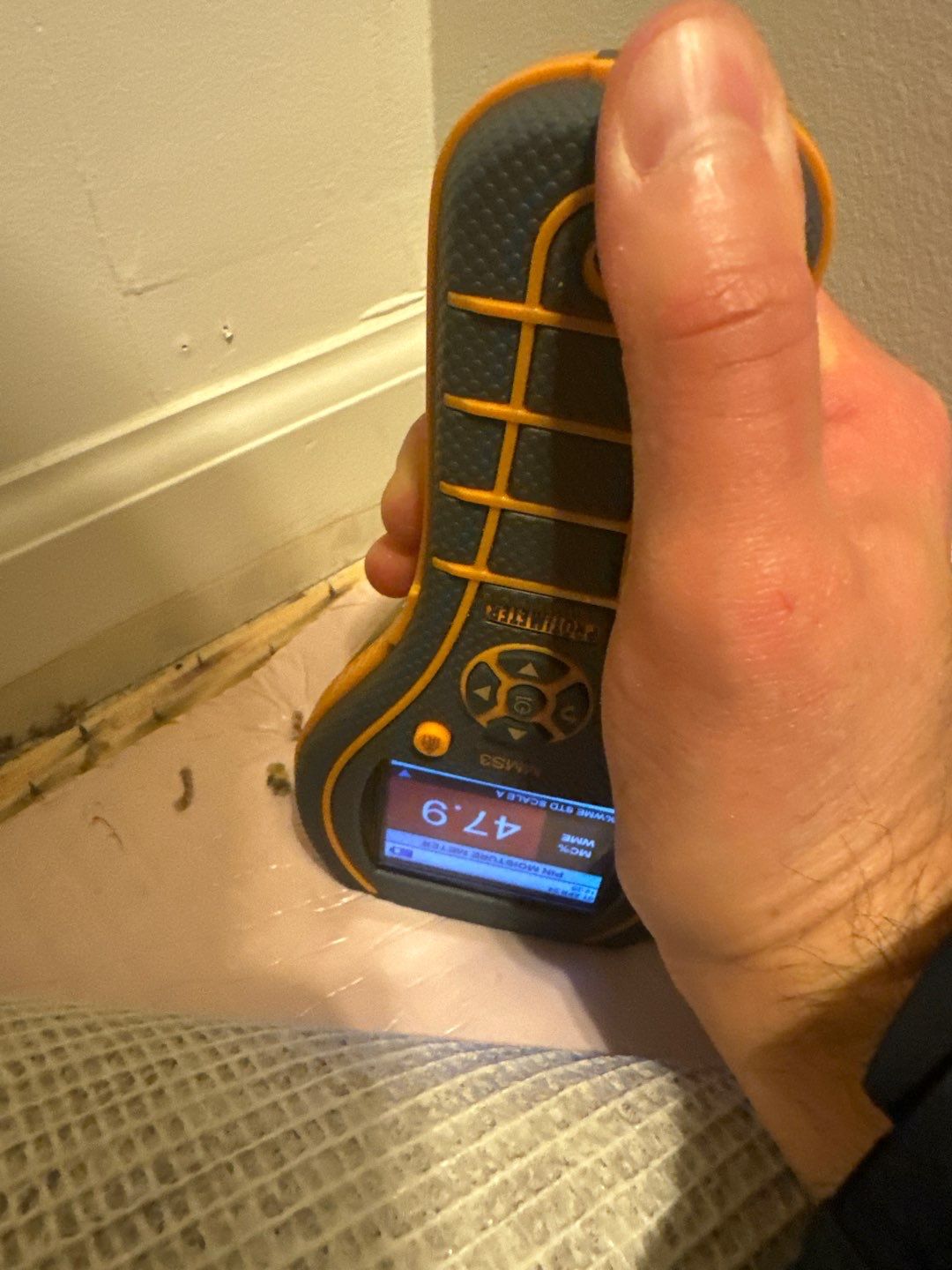 Project in Macomb by EzDry Water Mitigation & Property Restoration