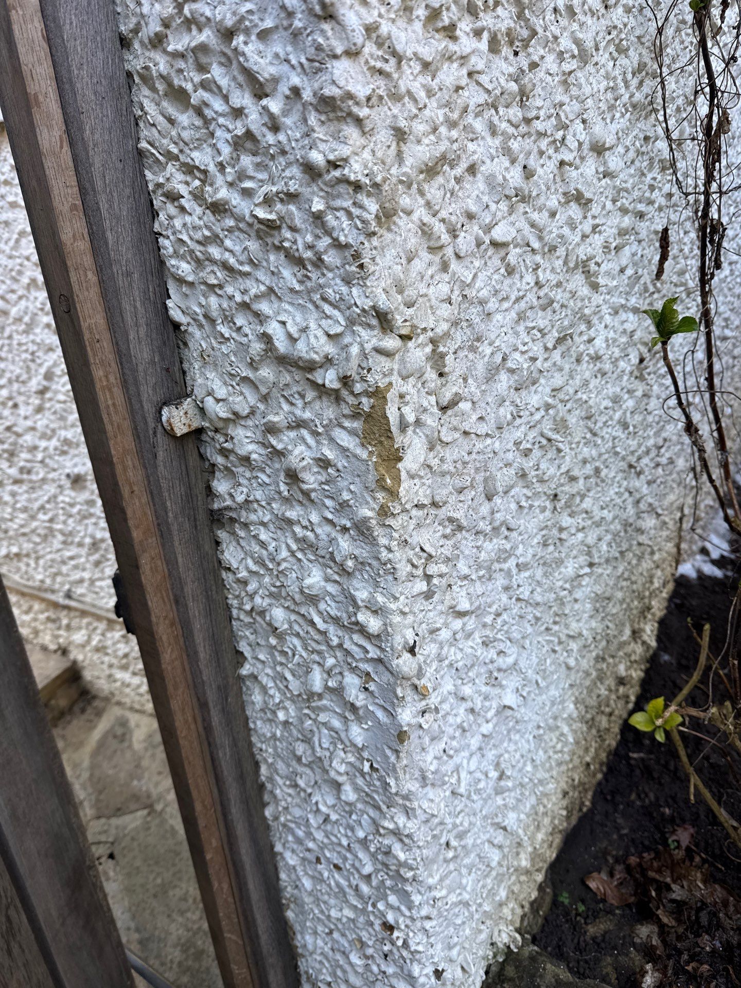 Render Clean using Pureseal Biocide by Ges Exterior Cleaning ltd