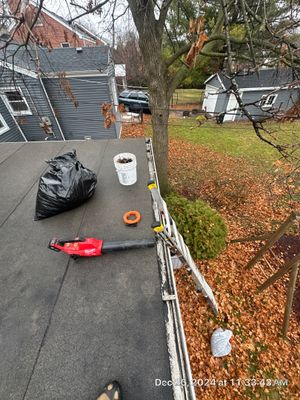 Gutter Cleaining in Des Plaines