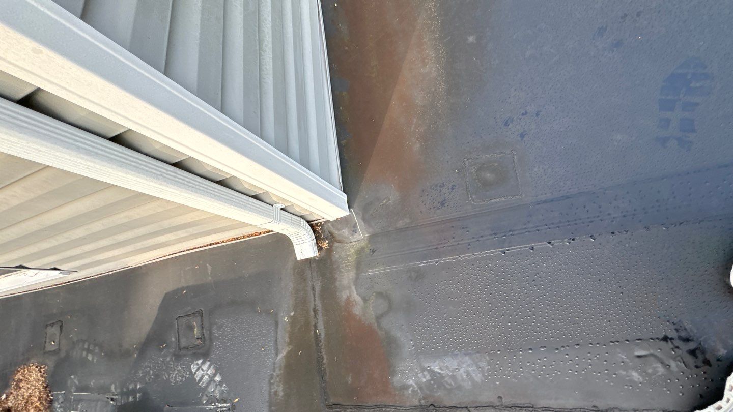 Alexandria: Residential Flat Roof Replacement with MuleHide TPO by RM Banning, Inc.