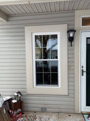 Project in Niles