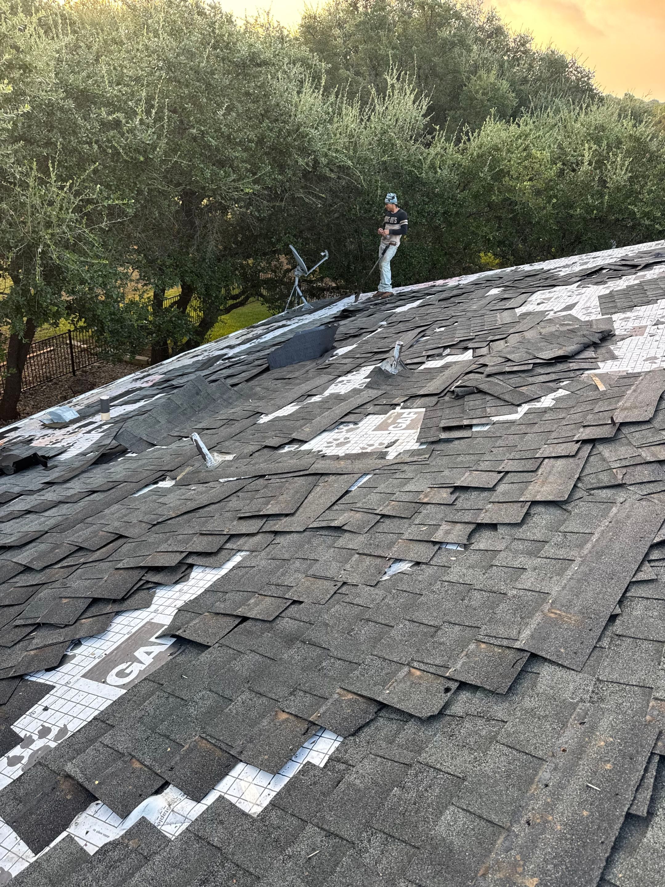 Architectural shingle Georgetown by REPS OF TEXAS