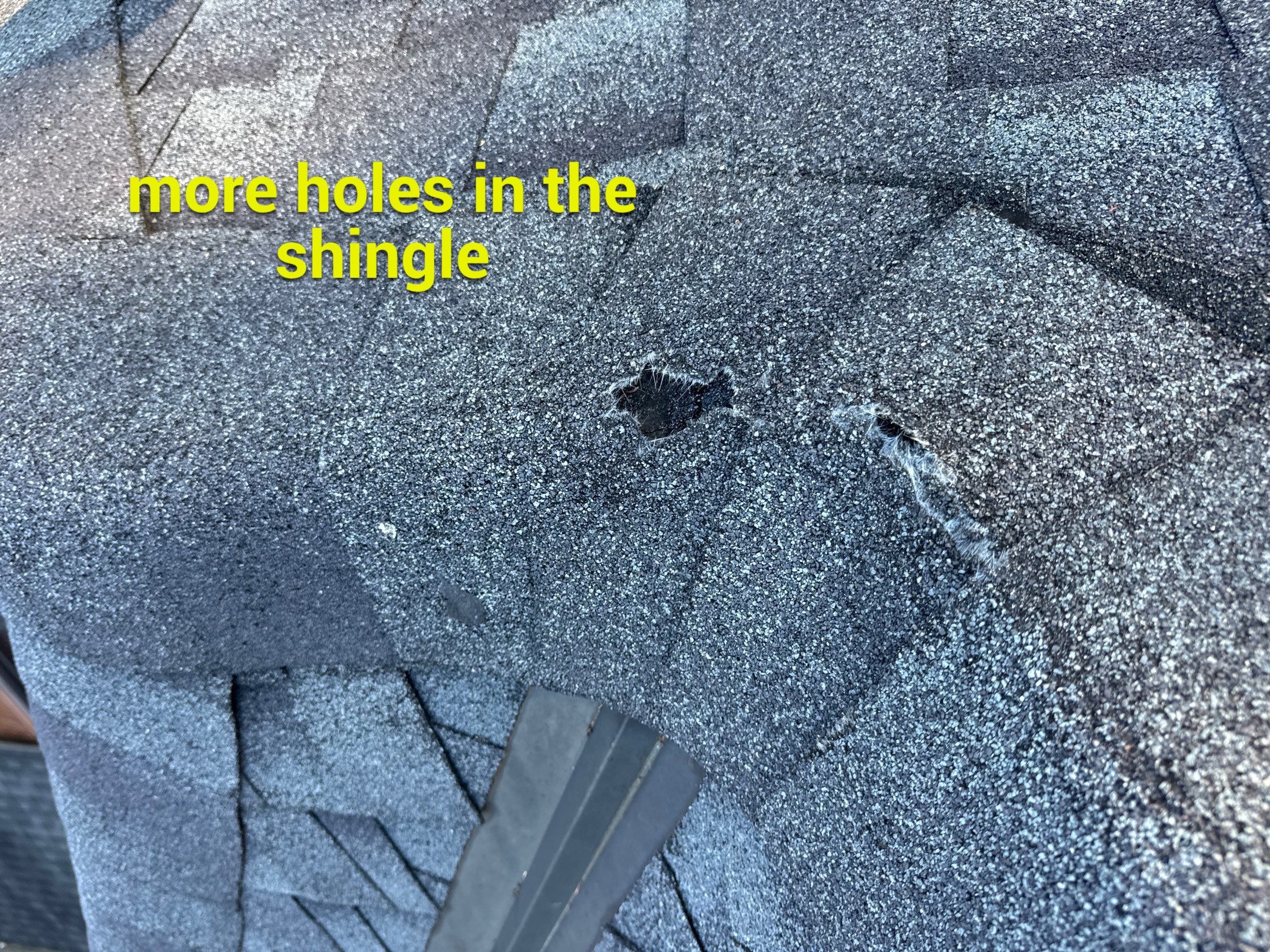 Chyleen Feagin by Tru-Built Roofing