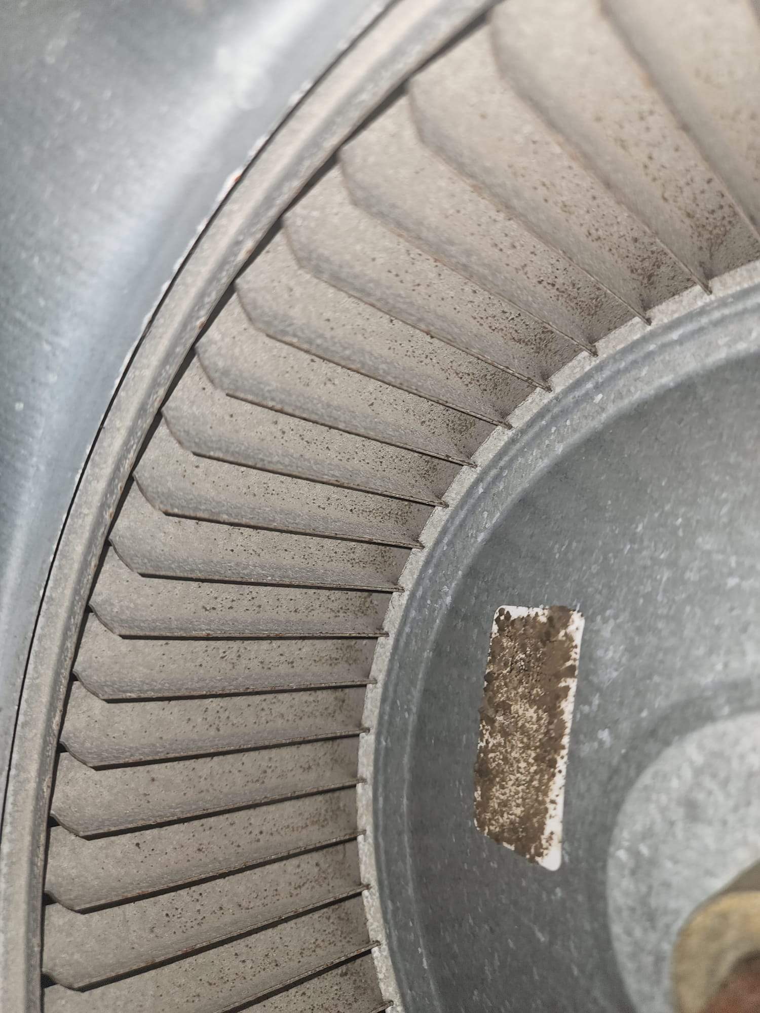 Holmes Beach AC Mold Deep Cleaning by Ampm Restoration Services