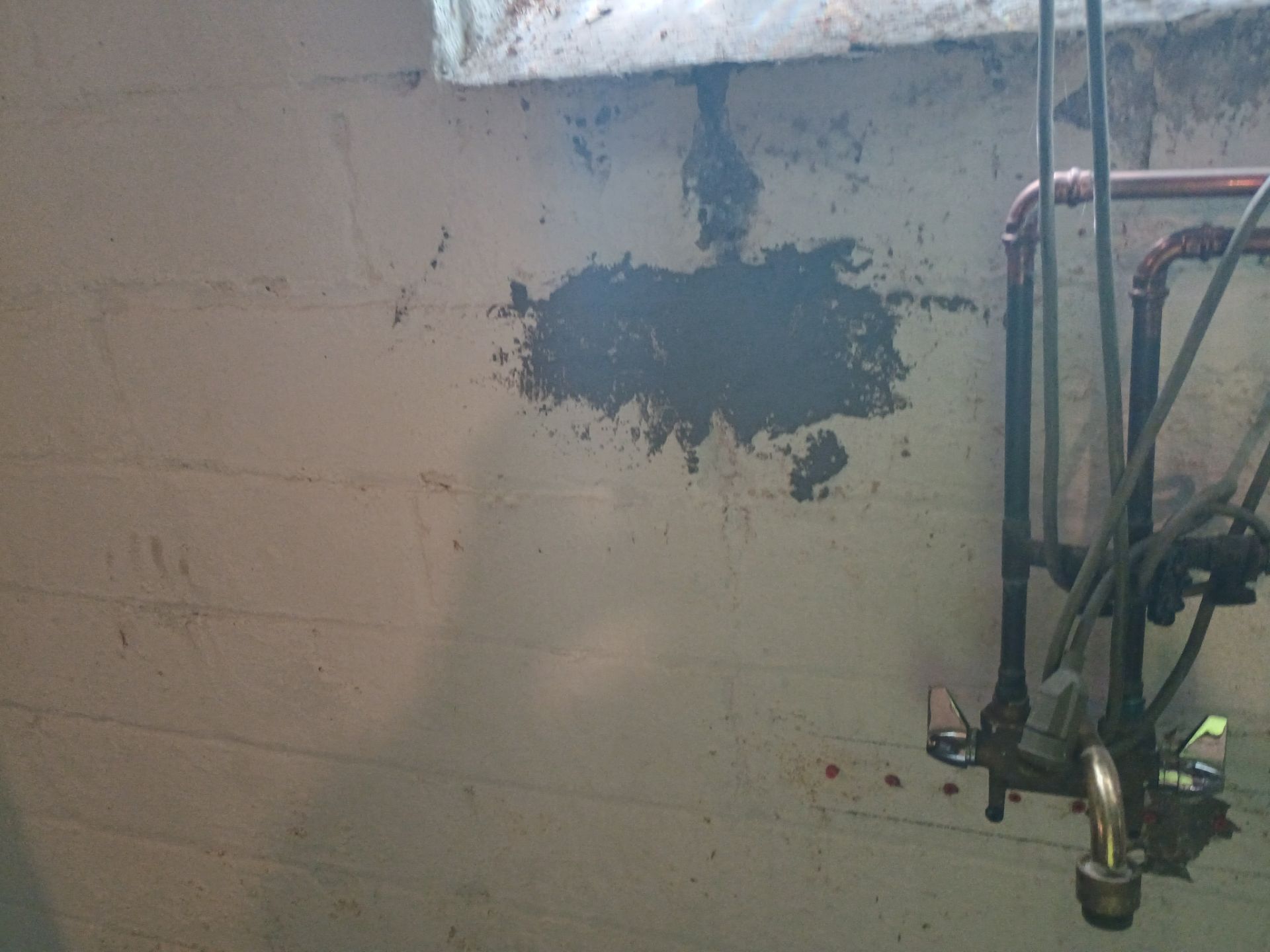 Updating Taylor's Waterproofing System by Waterproofing Northeast