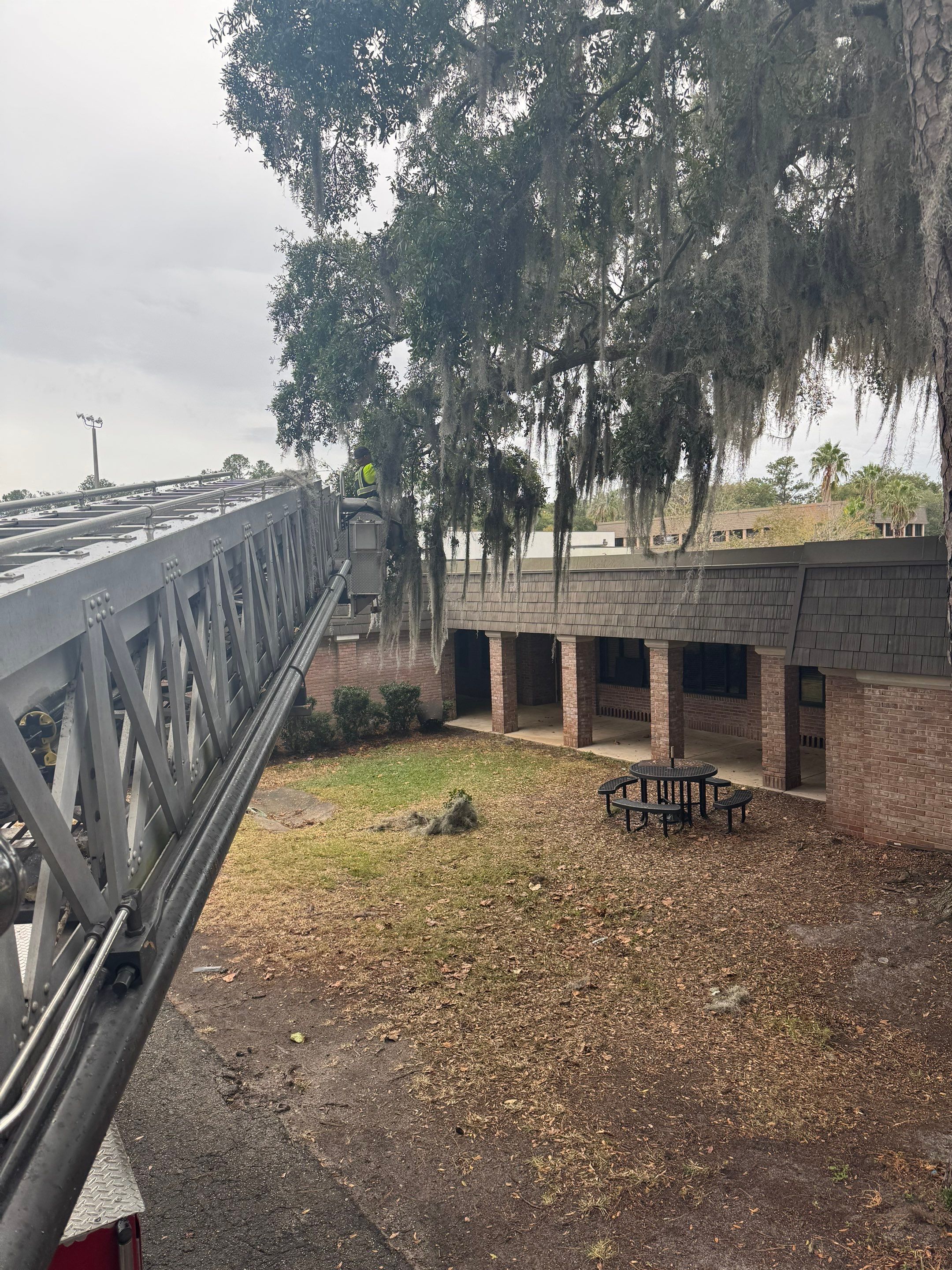Volunteer Work | Episcopal High School of Jacksonville by ProGreen Services