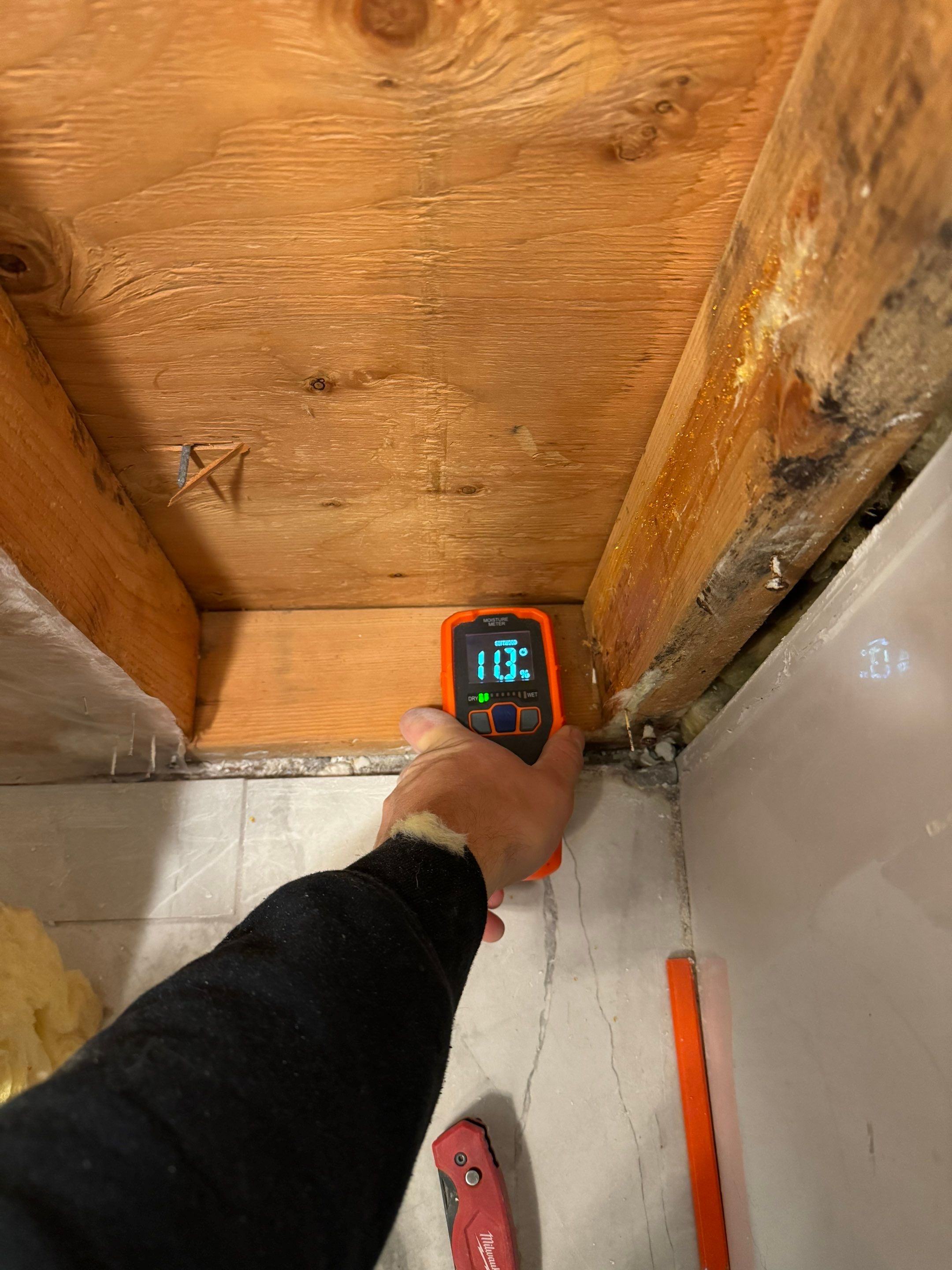 Bathroom Mold Remediation by Home Guarantee, LLC