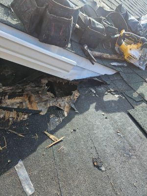 Repair Photos