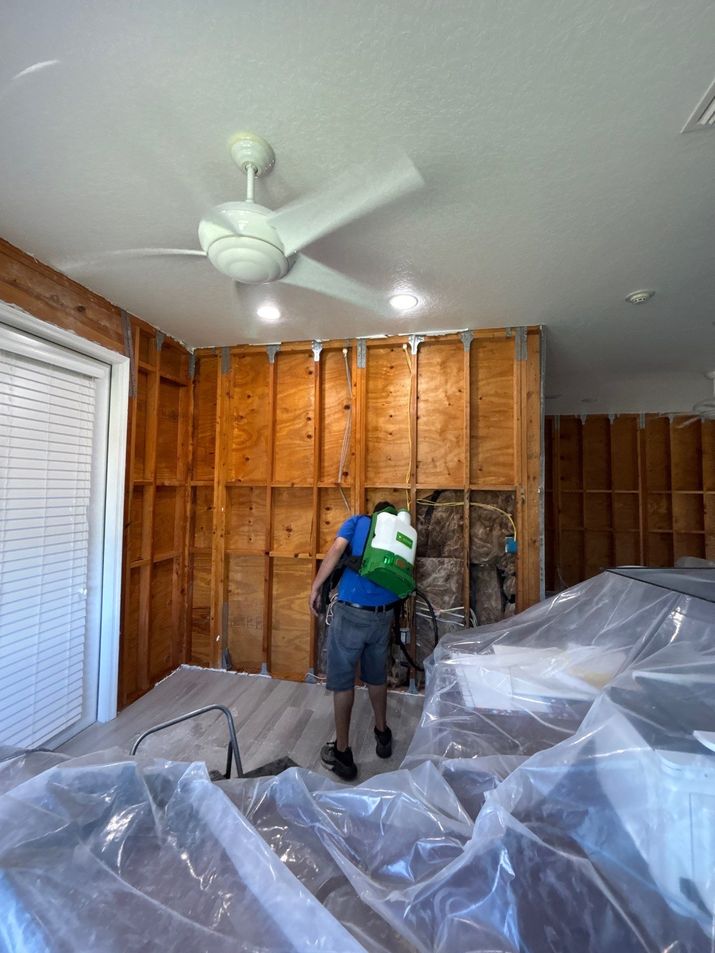 Mold Removal & Remediation In Sarasota by Ampm Restoration Services