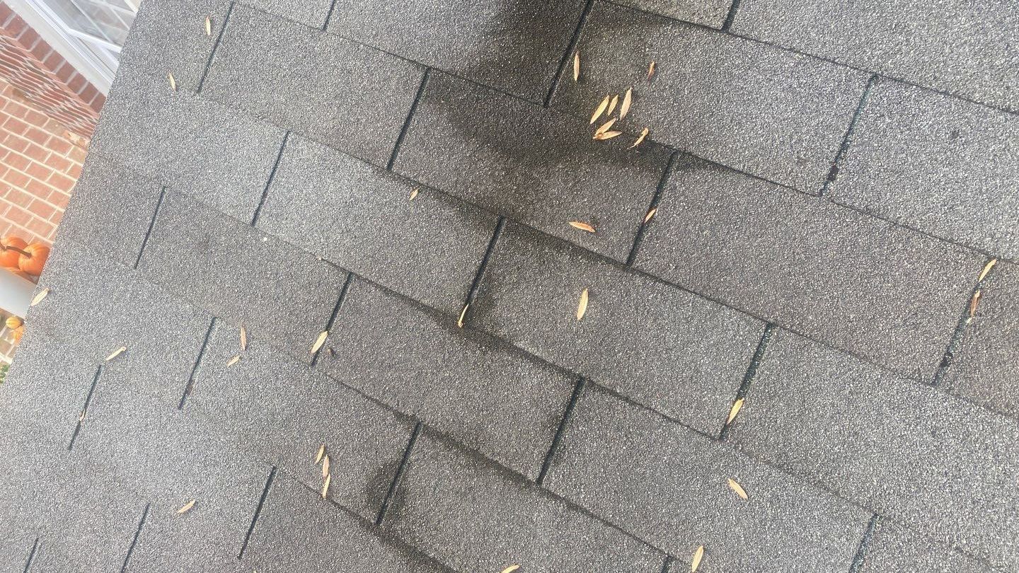 Exterior Repair using Porch and roof repair  by Alpha Design Services
