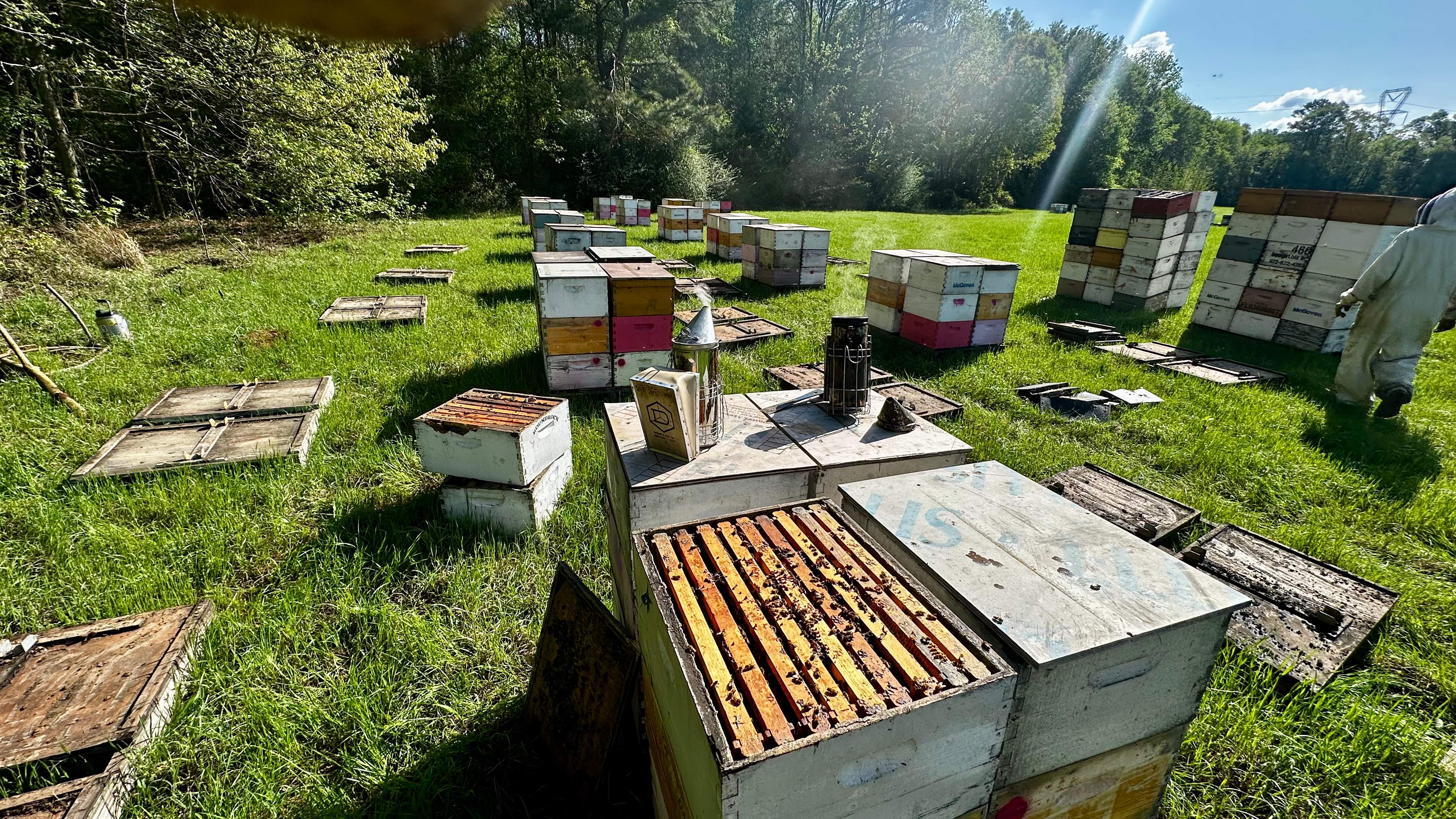 Traylor's Hay Meadow Apiary by Rockwall Honey Bee Company