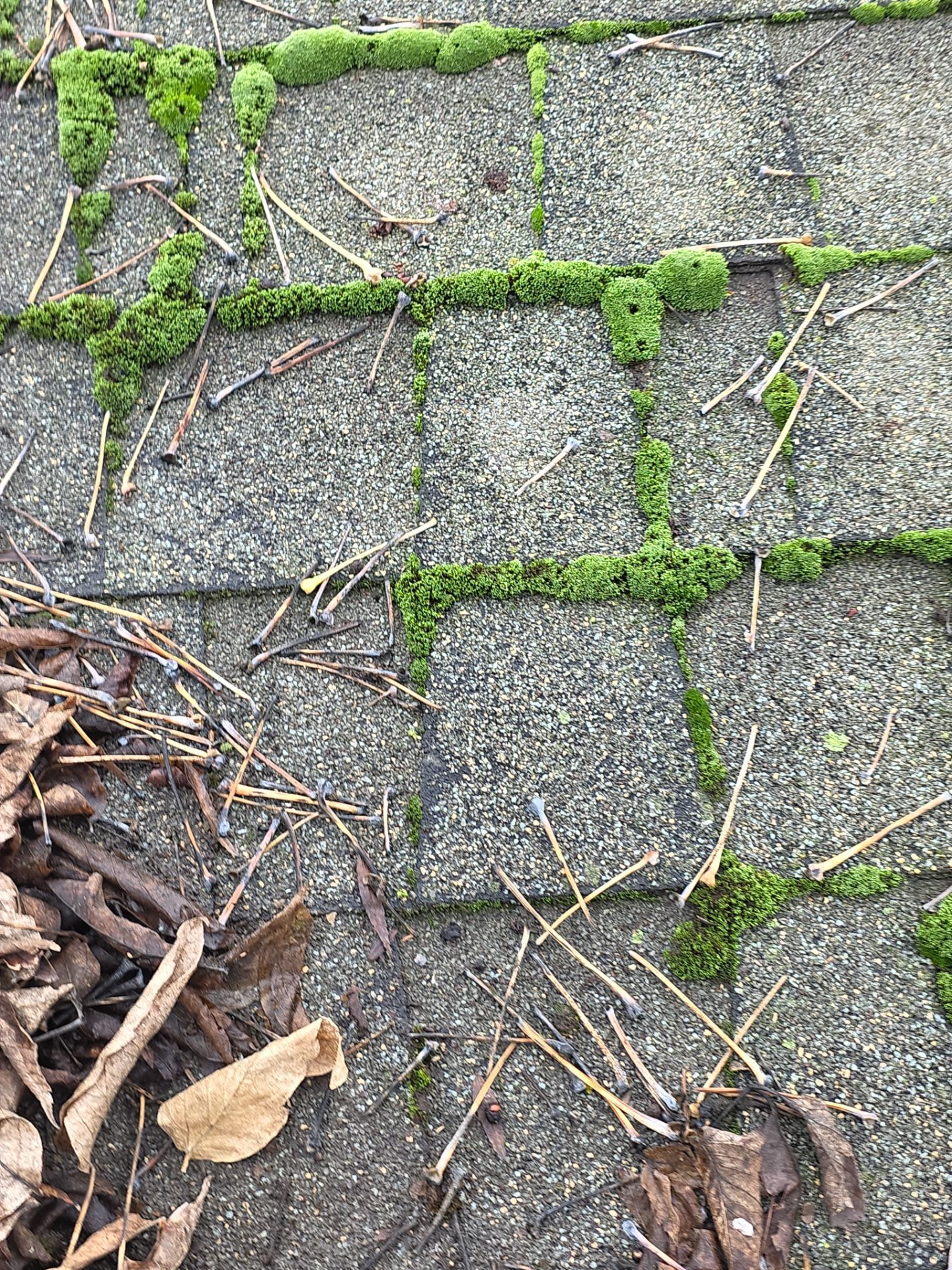 Roof Rejuvenation using Roof Maxx Treatment by Roof Maxx of Folsom