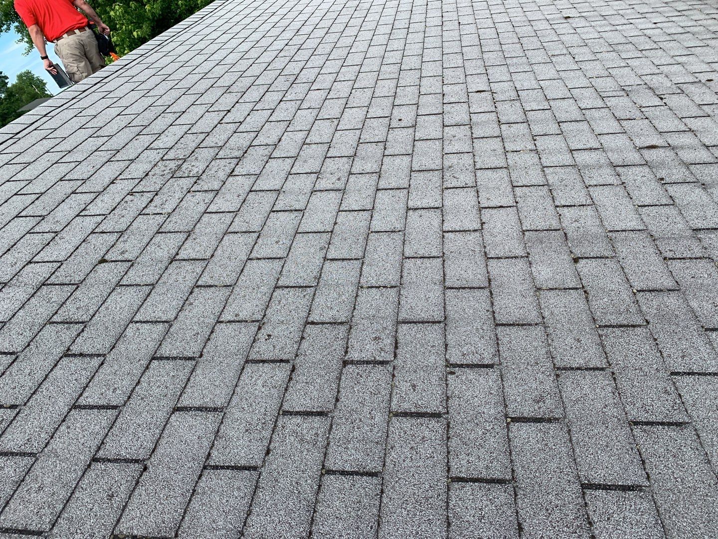 Justin Prendergast by Silver Leaf Contracting 