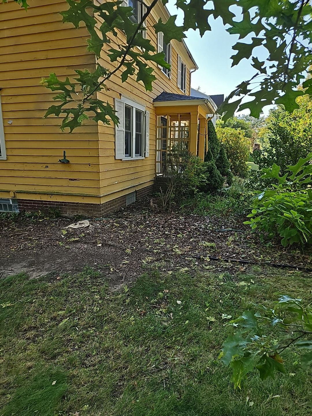 Tree Removal using Tree Removal by Mike Jones & Sons Tree Service LLC 