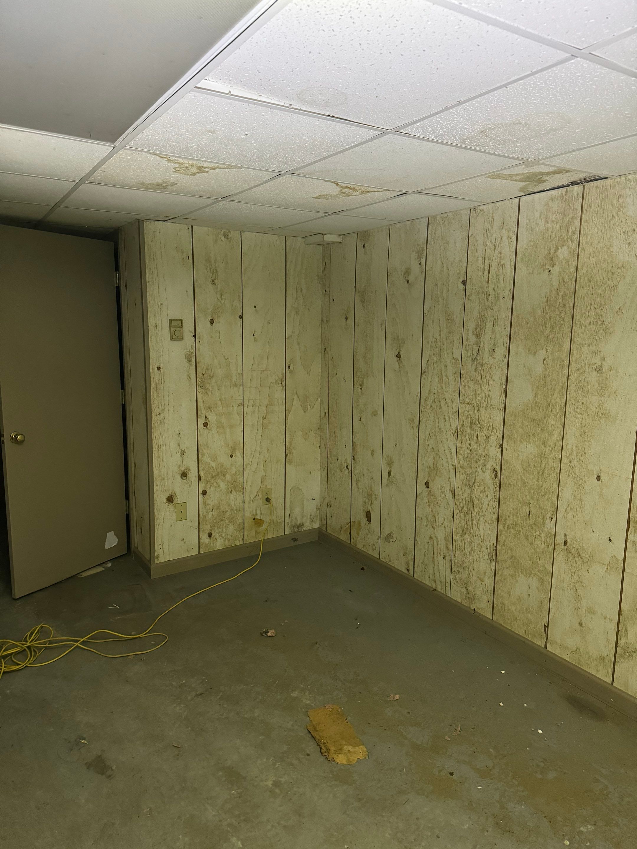 Basement Mold Remediation by Home Guarantee, LLC