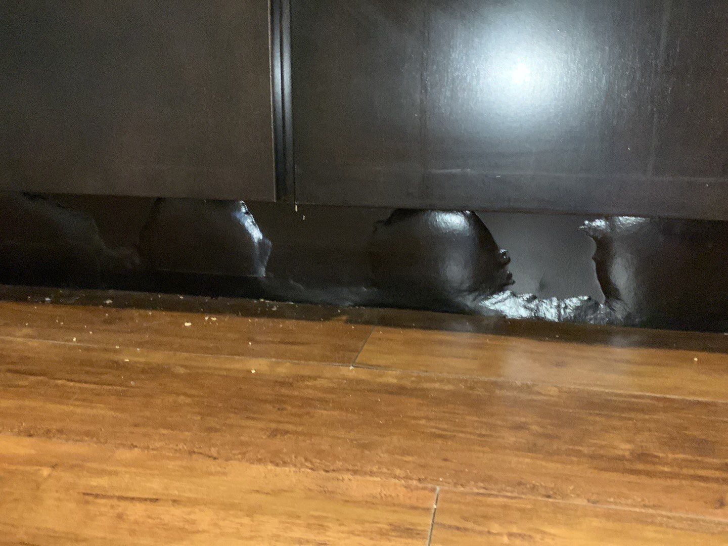 Sump Pump Failure by Chicagoland Water Medics