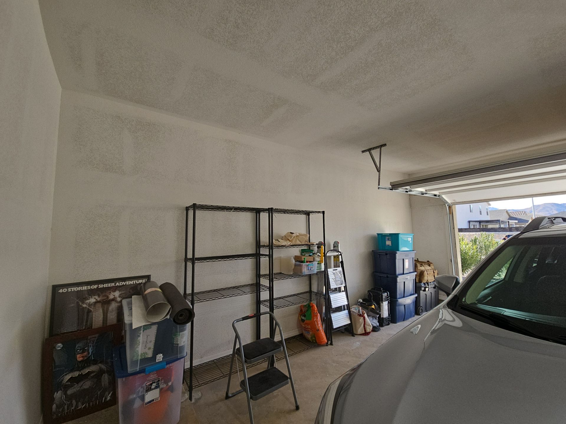 Door and Garage Painting by Regal Renovate