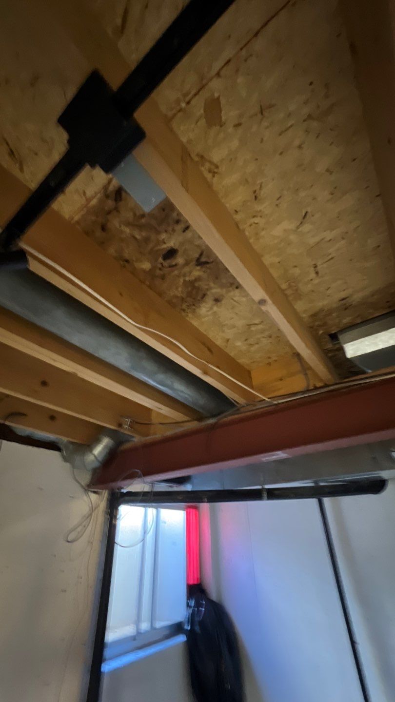 Mold Damage by Accountable Home Services