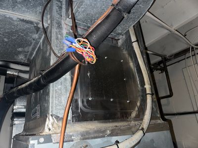 Air Duct + Dryer Duct Cleaning
