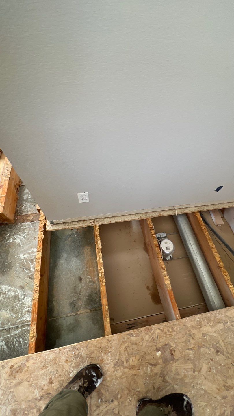 Mold Remediation by Accountable Home Services