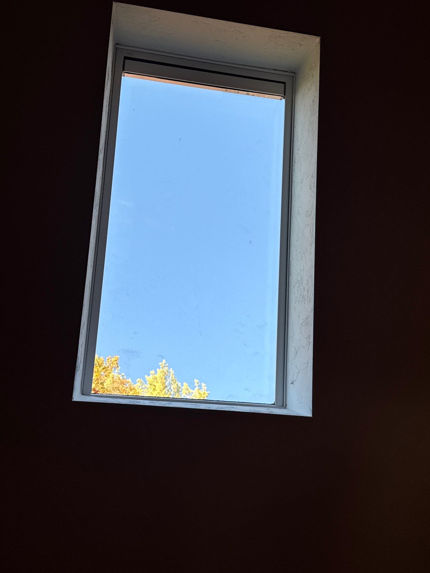 Milford Complete Roof Replacement with Velux Skylight Upgrade by Mighty Dog Roofing of Greater Middlesex County