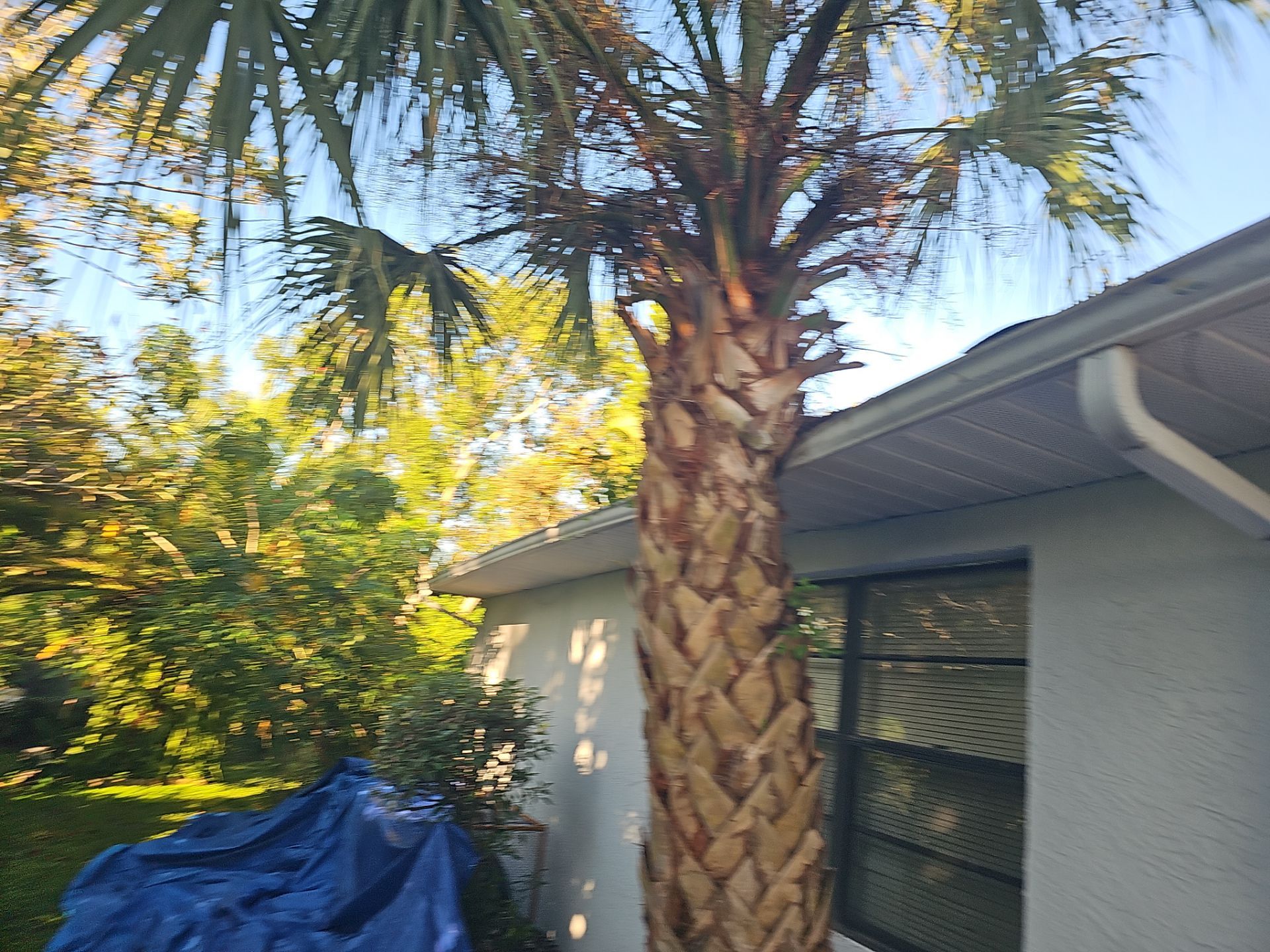 Project in Port Richey 34668 by Mitchell Roofing Company LLC 