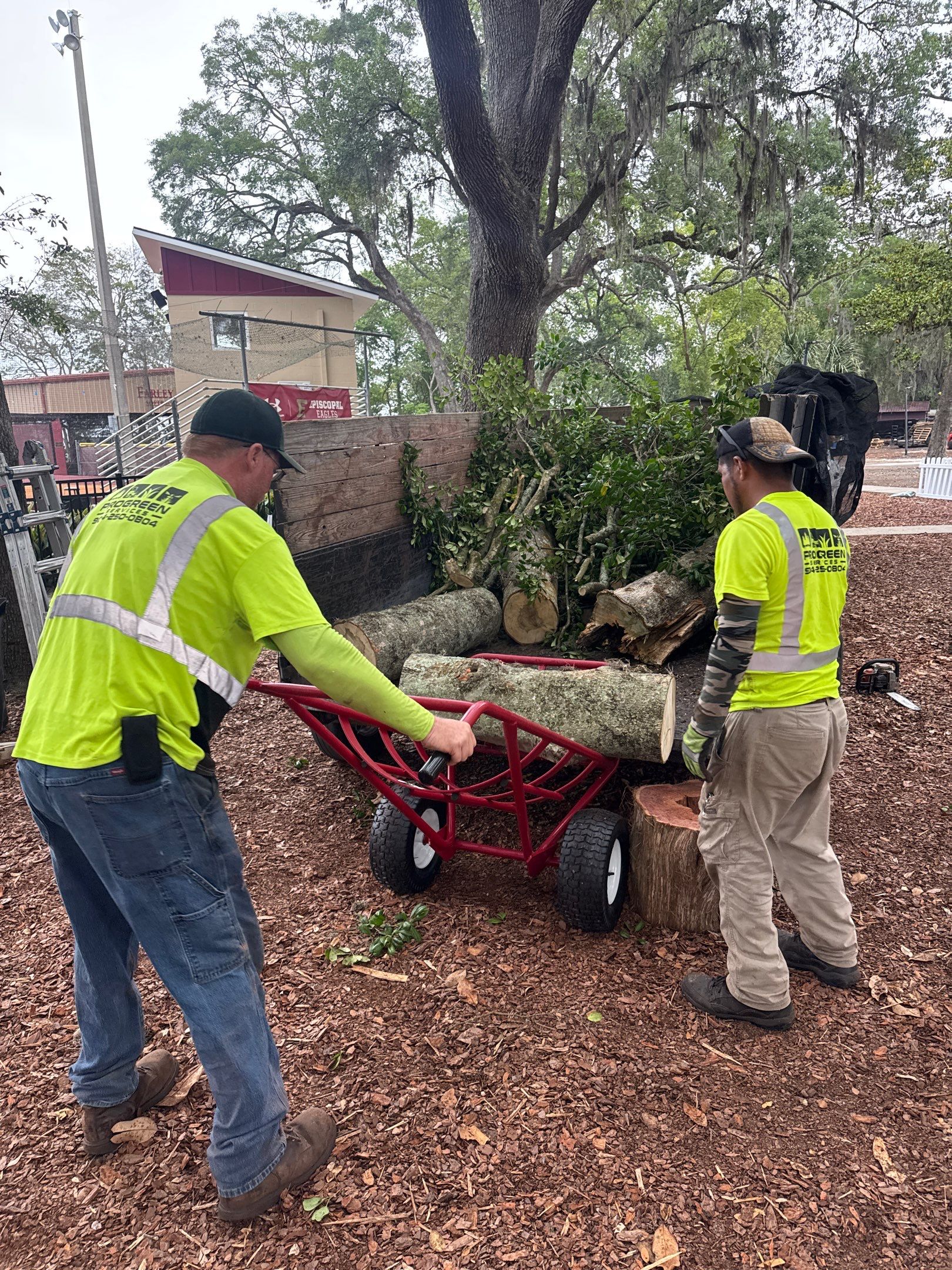 Episcopal School of Jacksonville | Tree Service by ProGreen Services