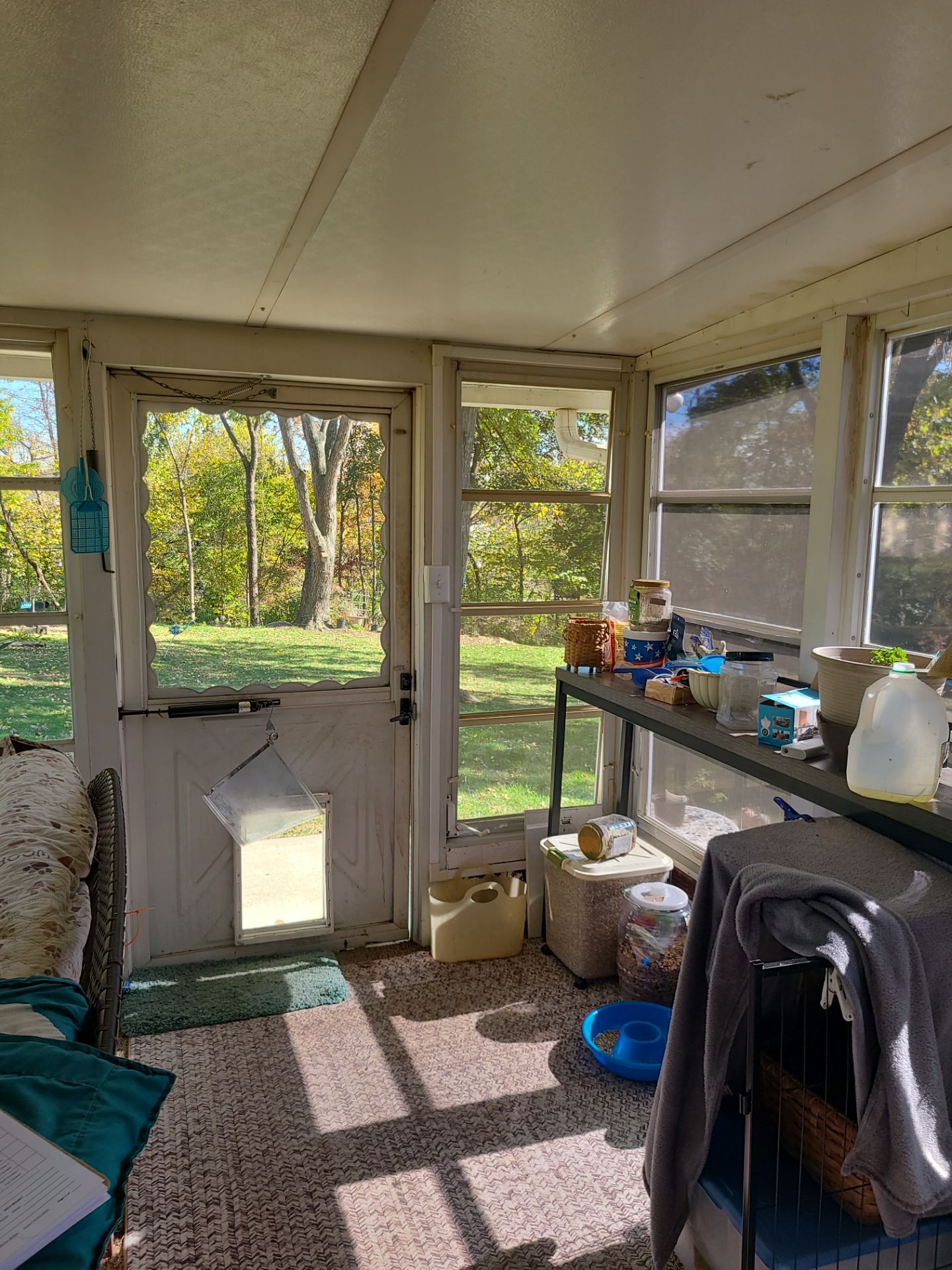 Reframe Sunroom Windows by Aspen Home Improvements