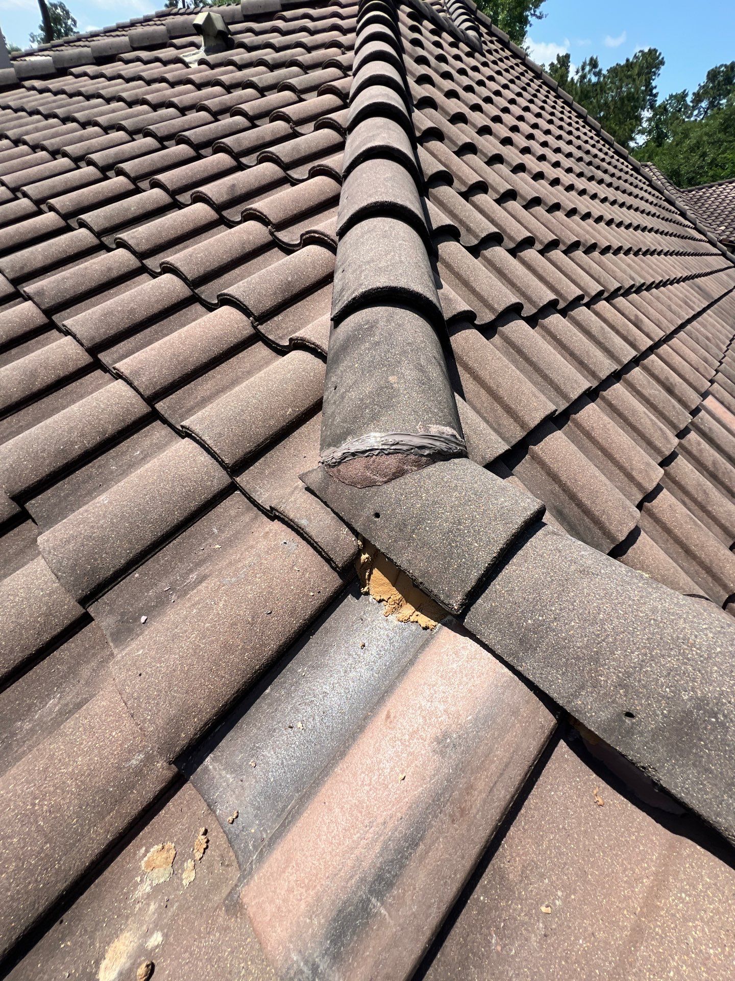 Roof Repair Spring by Roof Repair Company