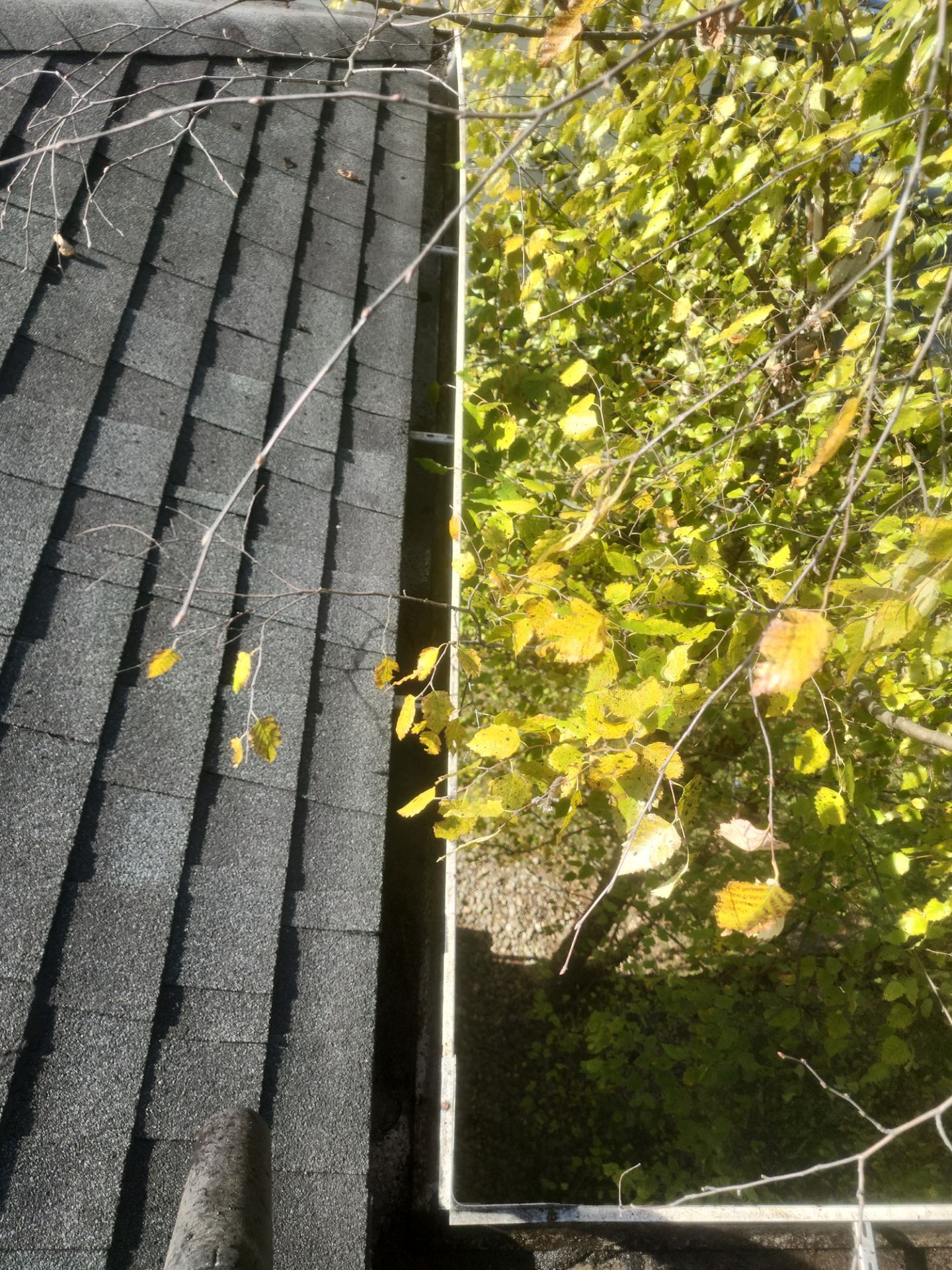 Commercial gutter cleaning West Virginia after photo with clean gutters