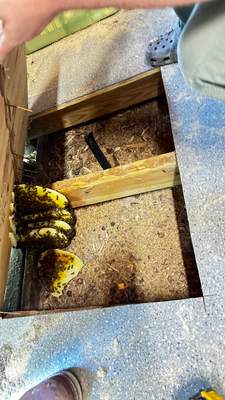 Under a Shed 