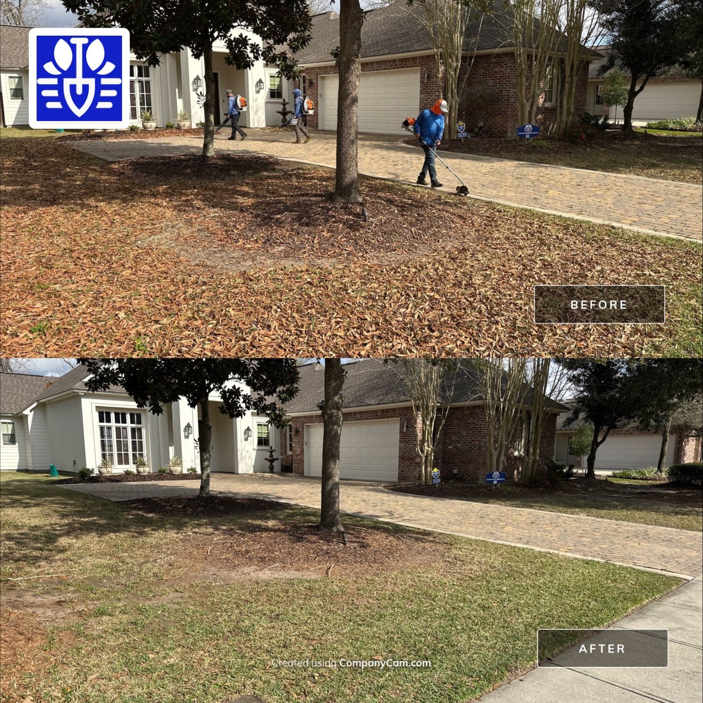 WINTER SERVICES: FULL LEAF JOB using  Leaf Removal by CutScape, LLC.