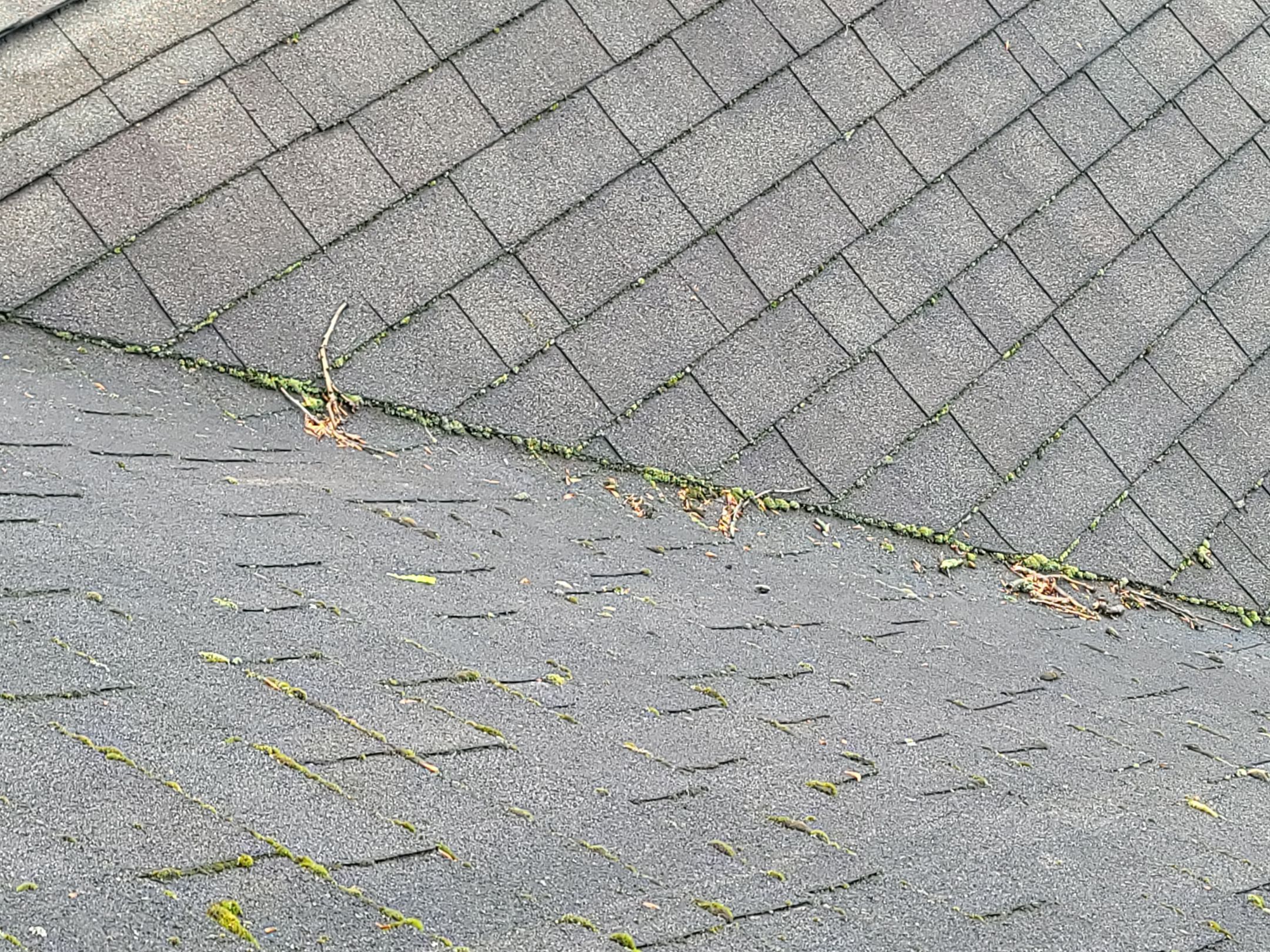 ATLAS PINNACLE COLOR: BLACK SHADOW by Eagle Eye Roofing