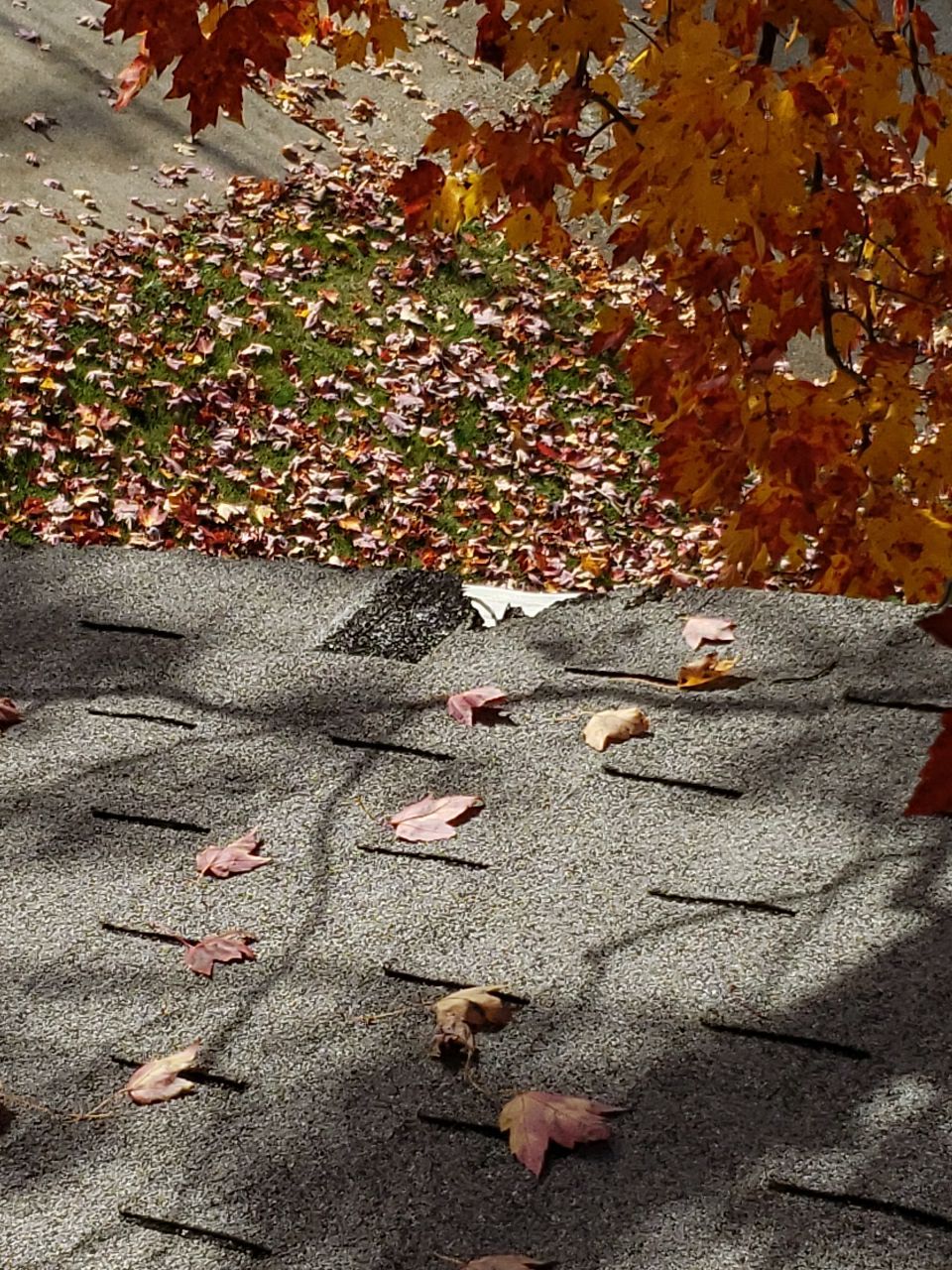 ATLAS PINNACLE SCOTCHGARD COLOR: PEWTER DRIP EDGE: BLACK by Eagle Eye Roofing