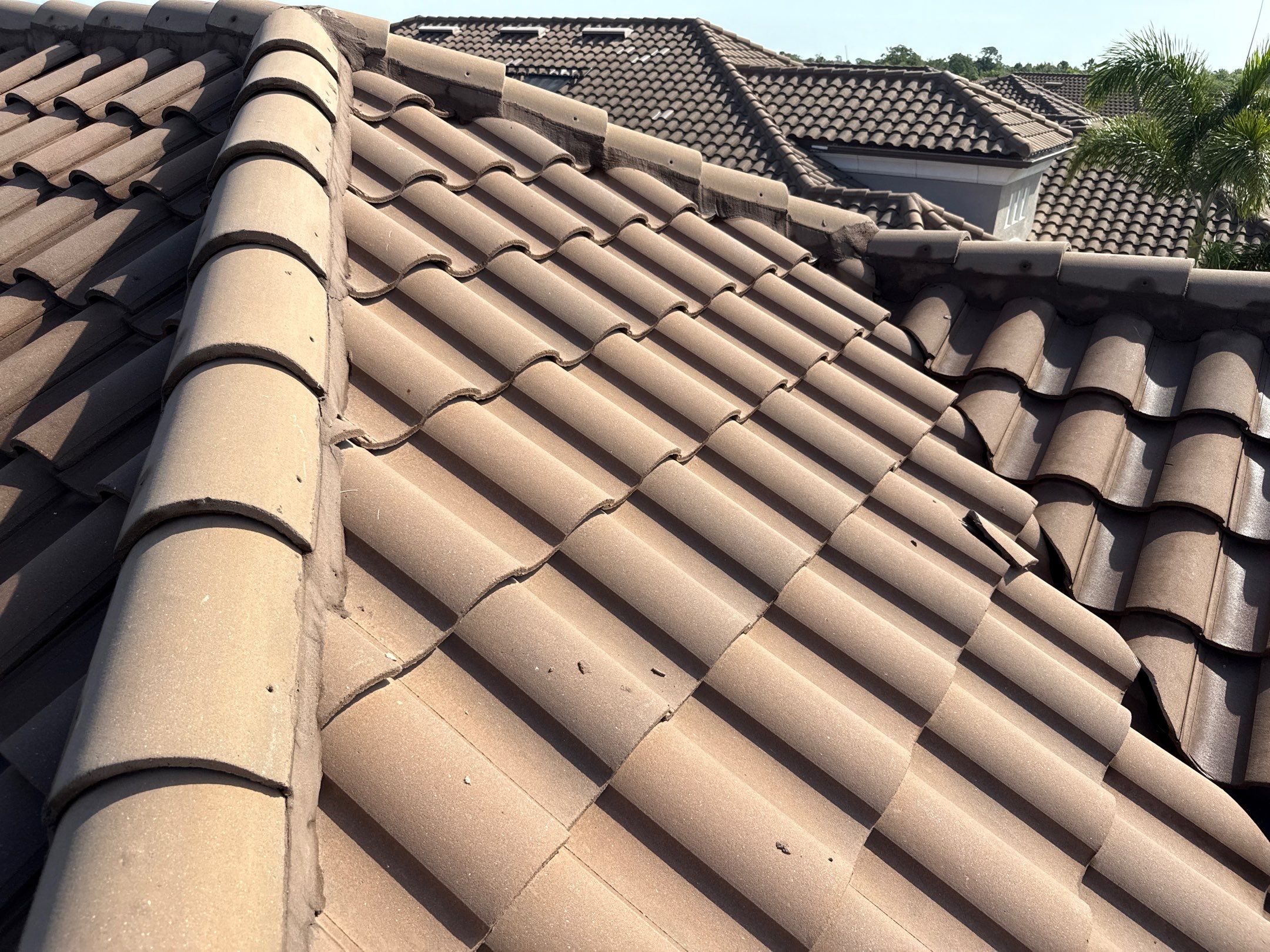 Soft Wash Roof Cleaning – Concrete Tile Roof | Artisan Lakes Esplanade, Palmetto, FL by Sunshine AquaWash