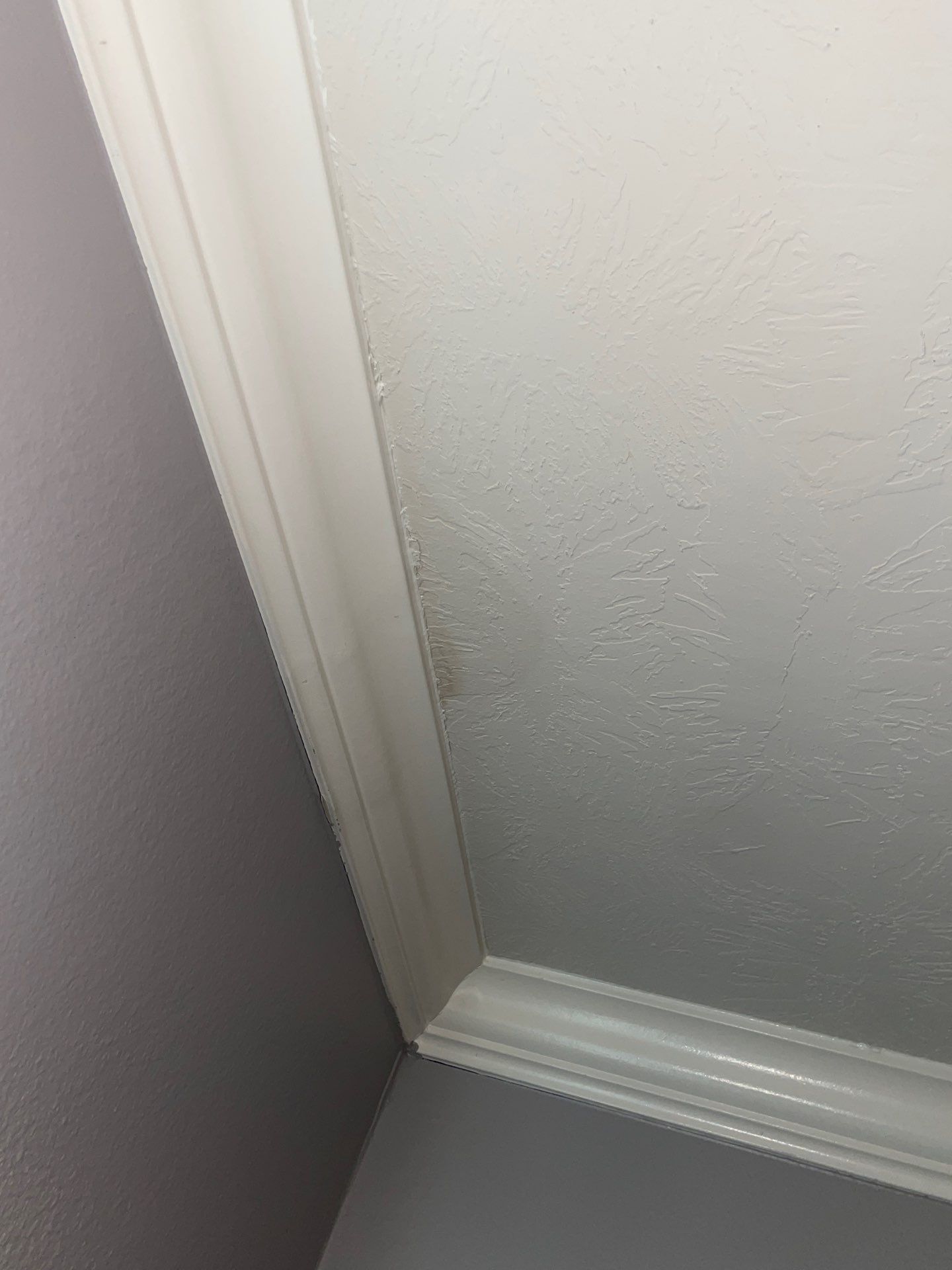 Storm Damage Restoration & Interior Repair by Majesty Construction